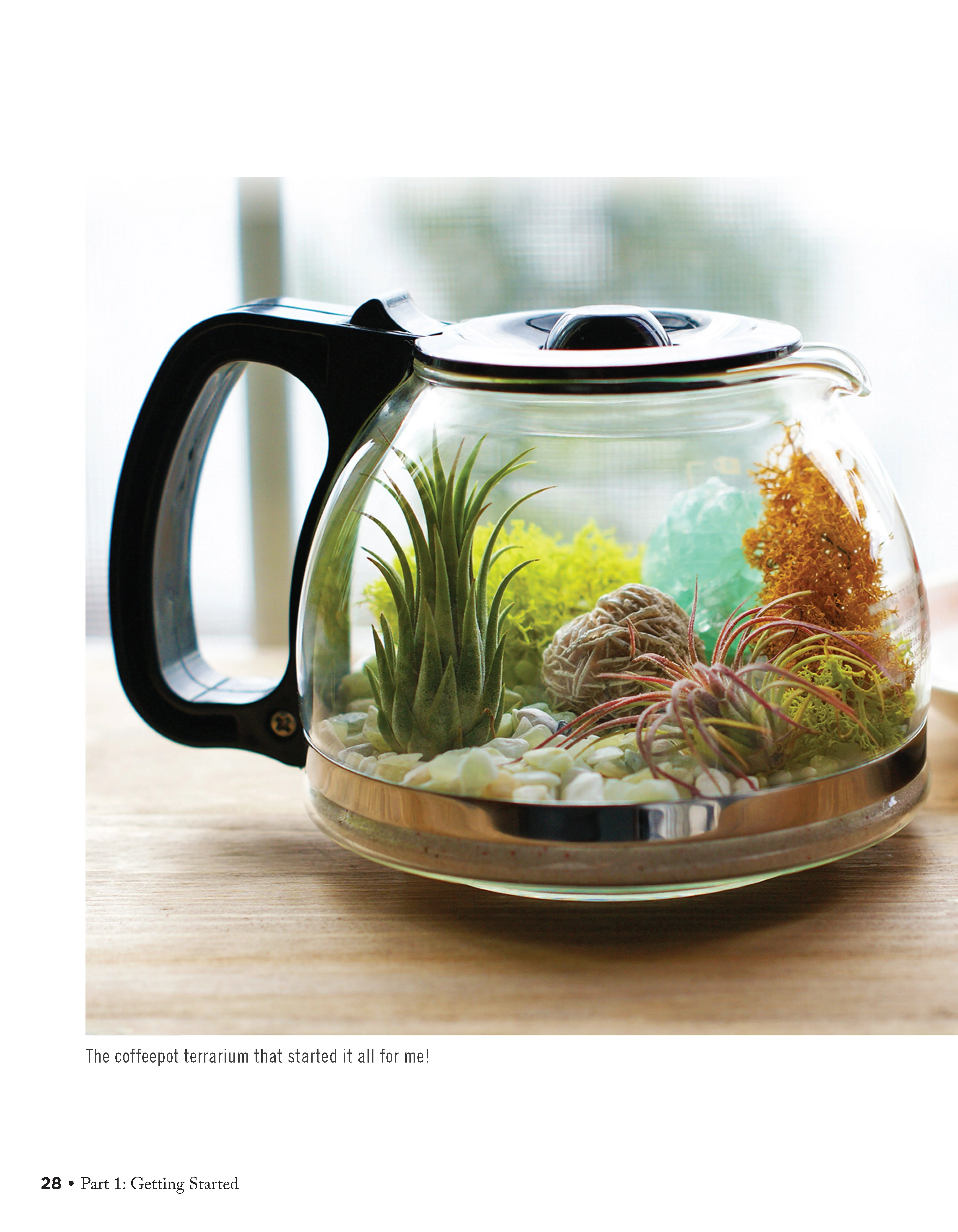 Creative Terrariums - Image 2