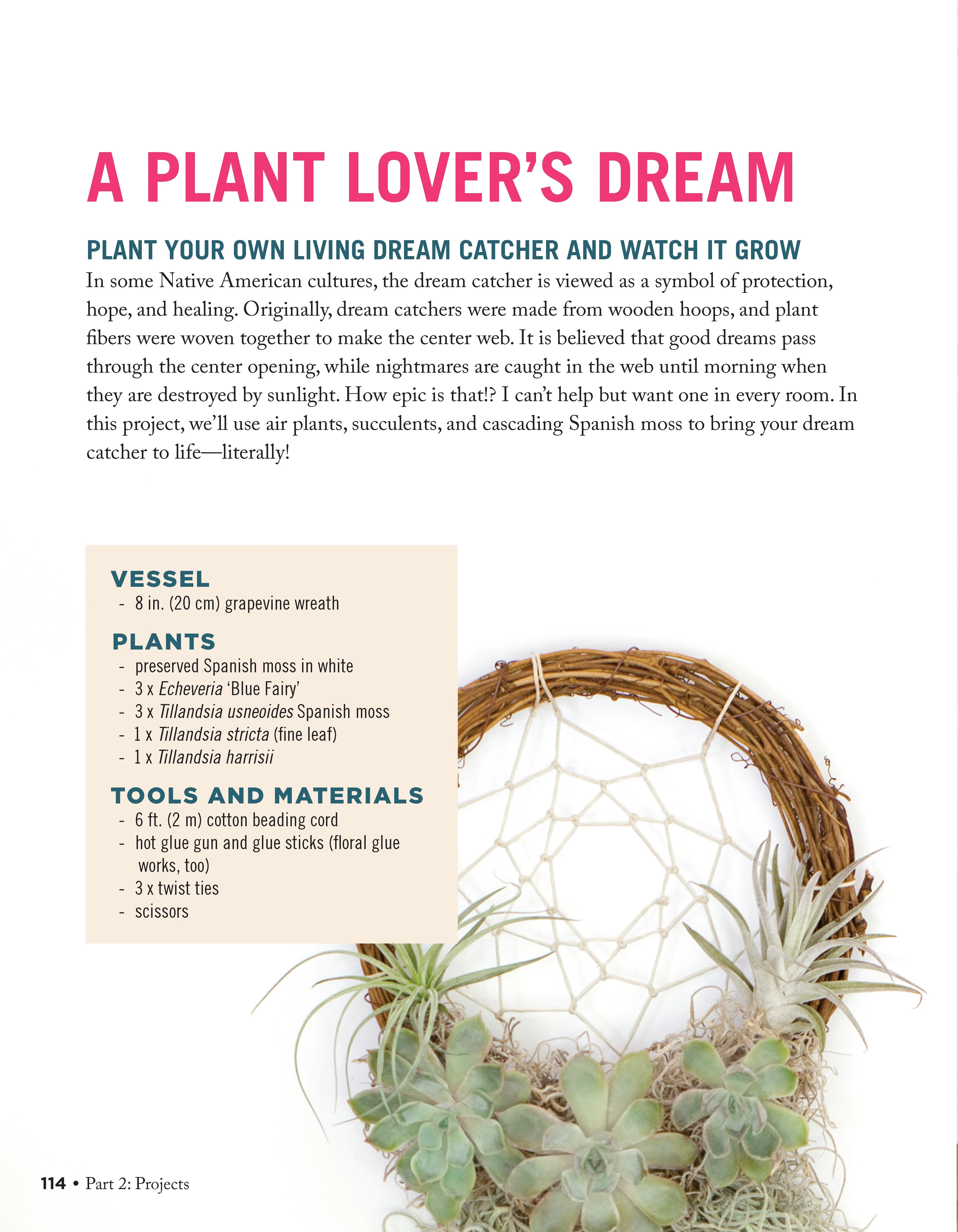 Creative Terrariums - Image 3
