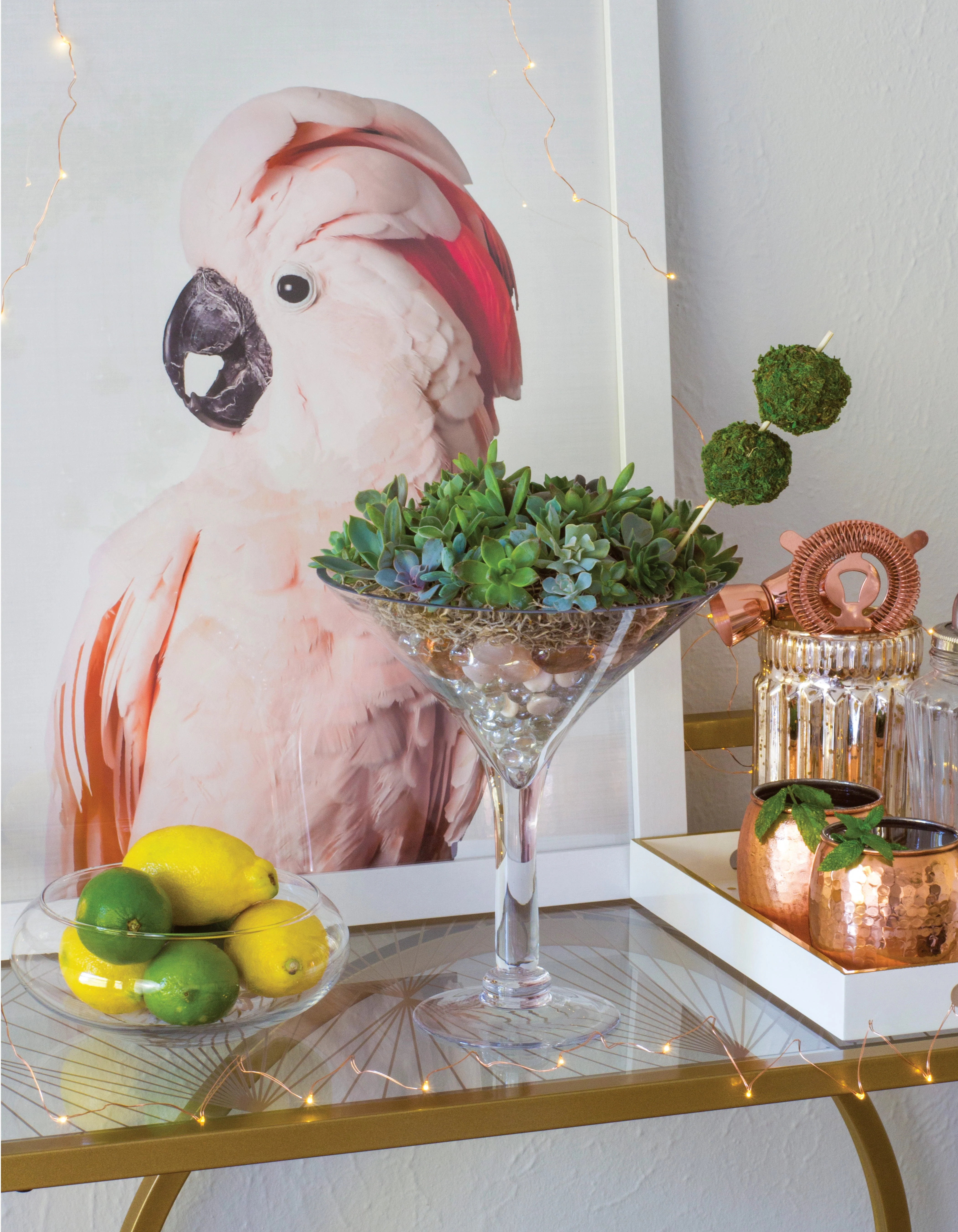 Creative Terrariums - Image 6