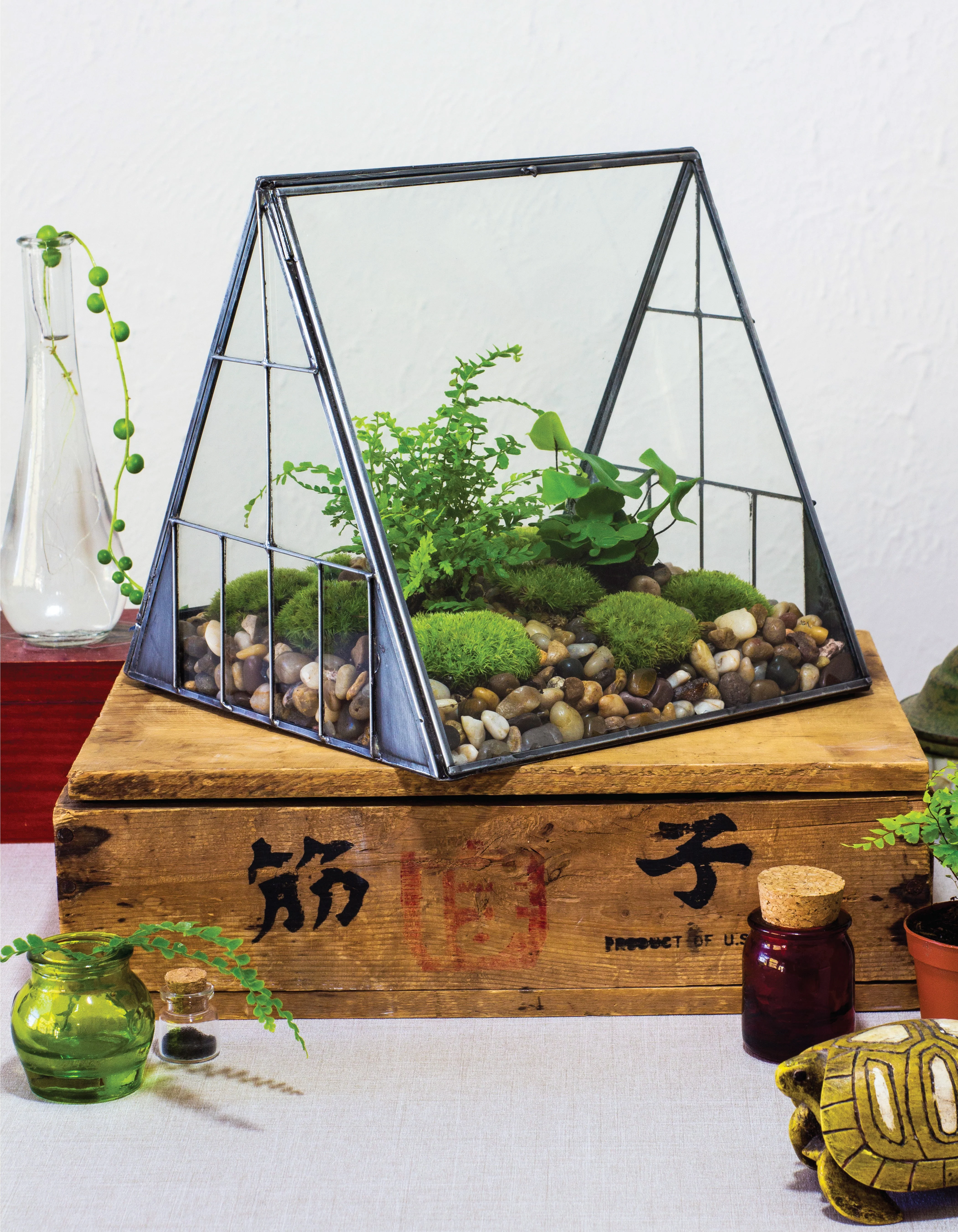Creative Terrariums - Image 9