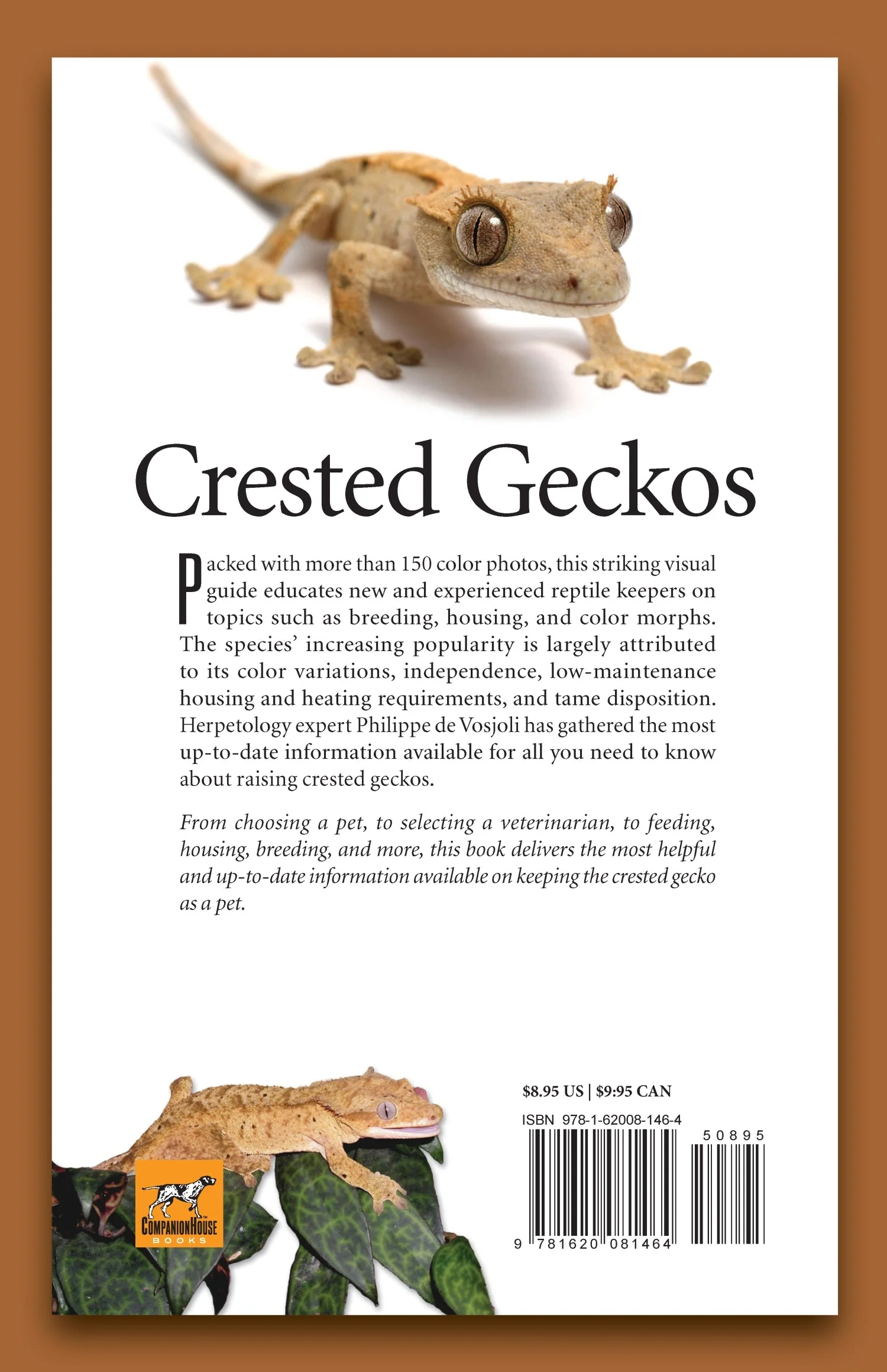 Crested Geckos - Image 9