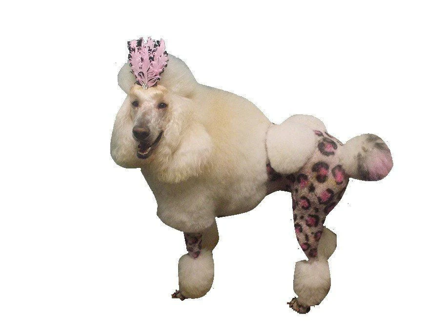 Critter Color - Temporary Pet Fur Coloring/Dog Dye - Image 11