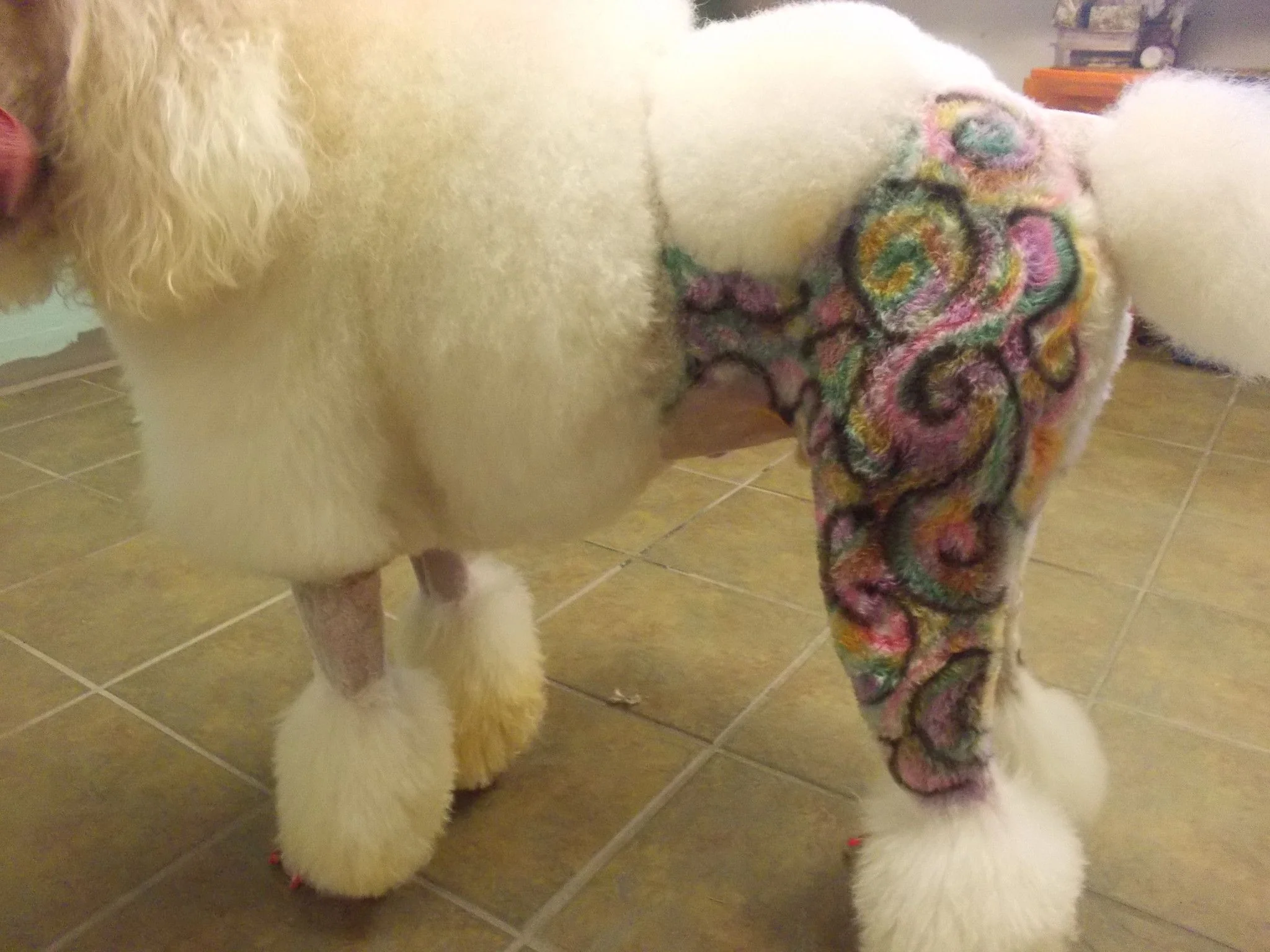 Critter Color - Temporary Pet Fur Coloring/Dog Dye - Image 12