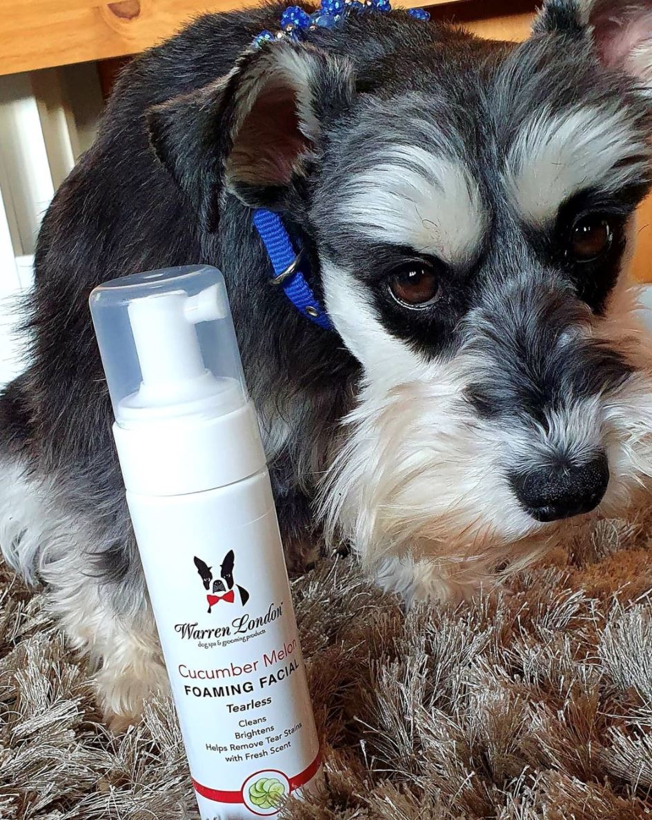 Cucumber Melon Foaming Facial For Dogs - Image 9
