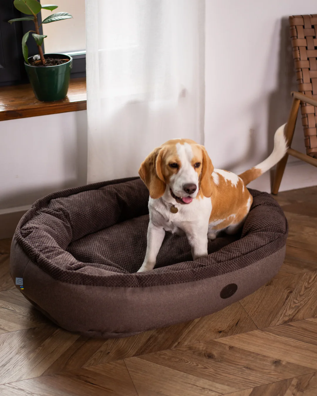 Cuddly Bagel Dog Bed - Image 2