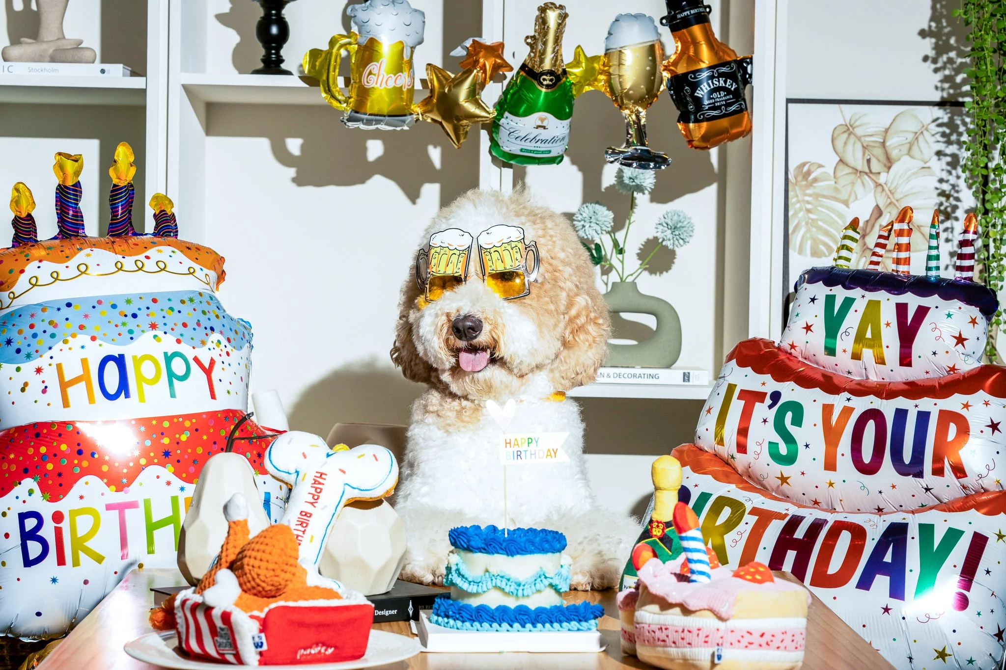 Premium Pet Essential: Cupcake - Image 9