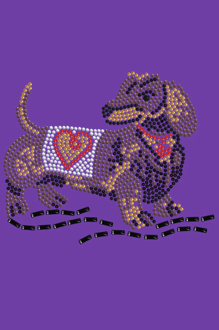 Dachshund 1 - bandana - Image 14