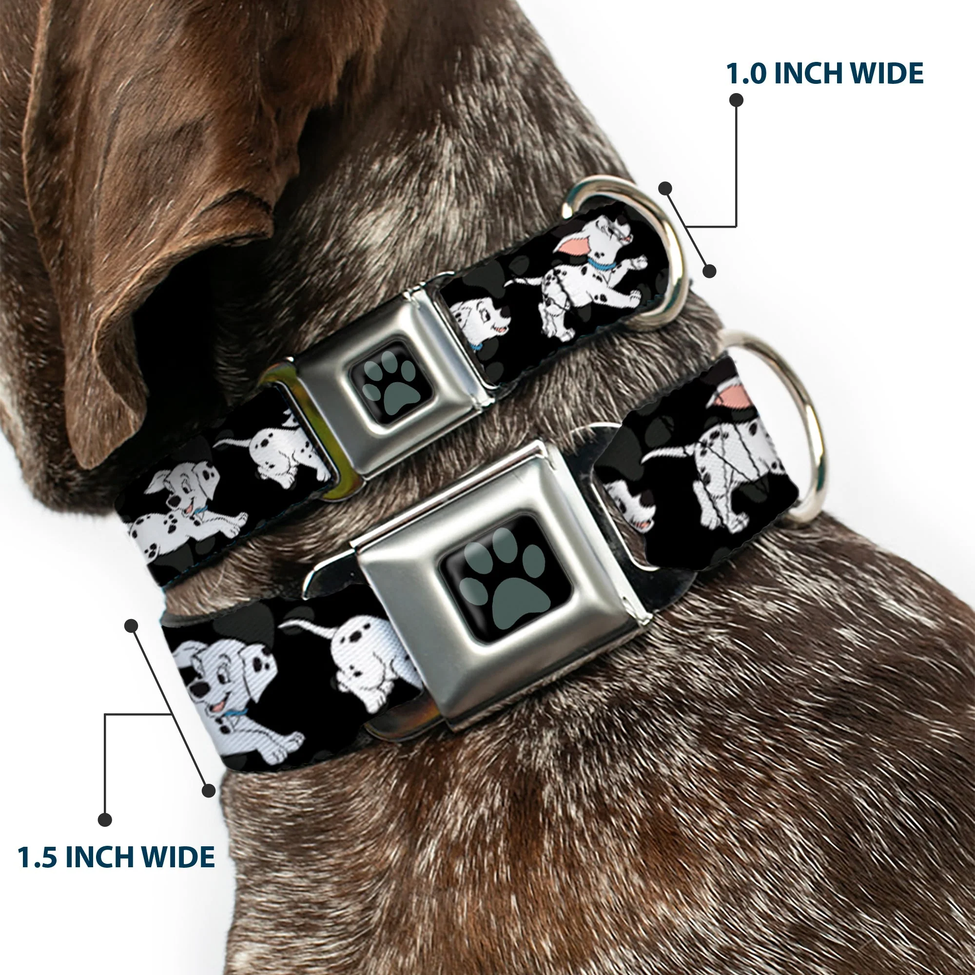 Dalmatian Paw Full Color Black Gray Seatbelt Buckle Collar - Dalmatians Running/Paws Black/Gray/White/Black - Image 2