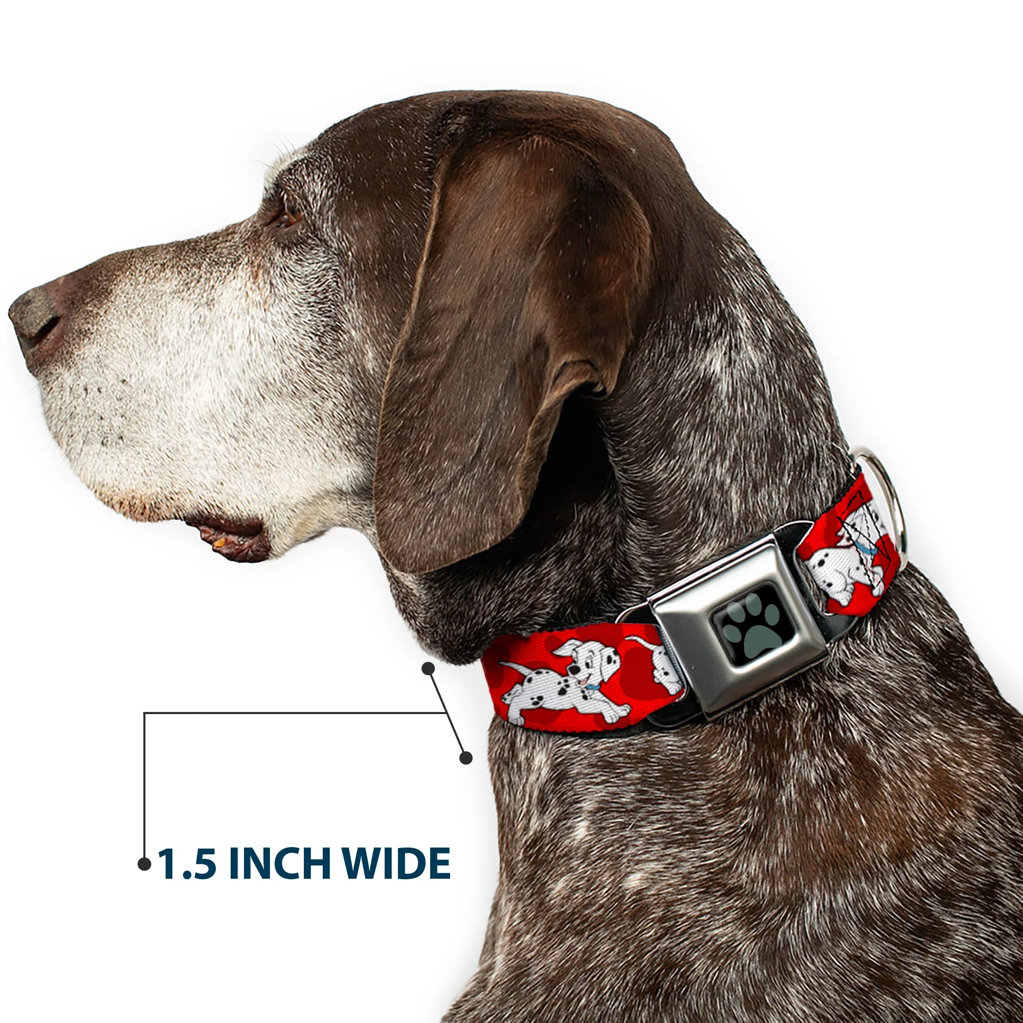 Dalmatian Paw Full Color Black Gray Seatbelt Buckle Collar - Dalmatians Running/Paws Reds/White/Black - Image 7
