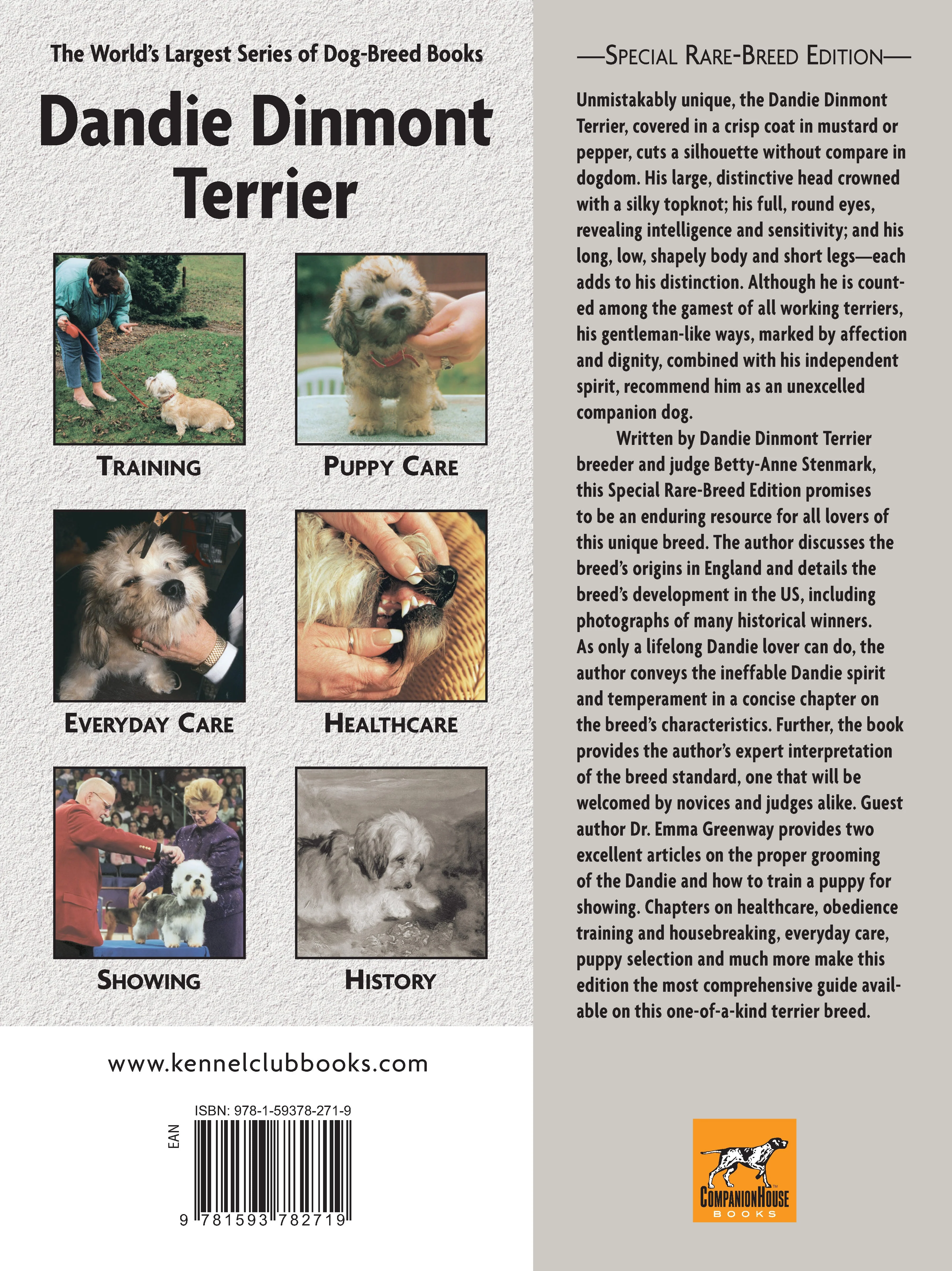 Dandie Dinmont Terrier - Image 7