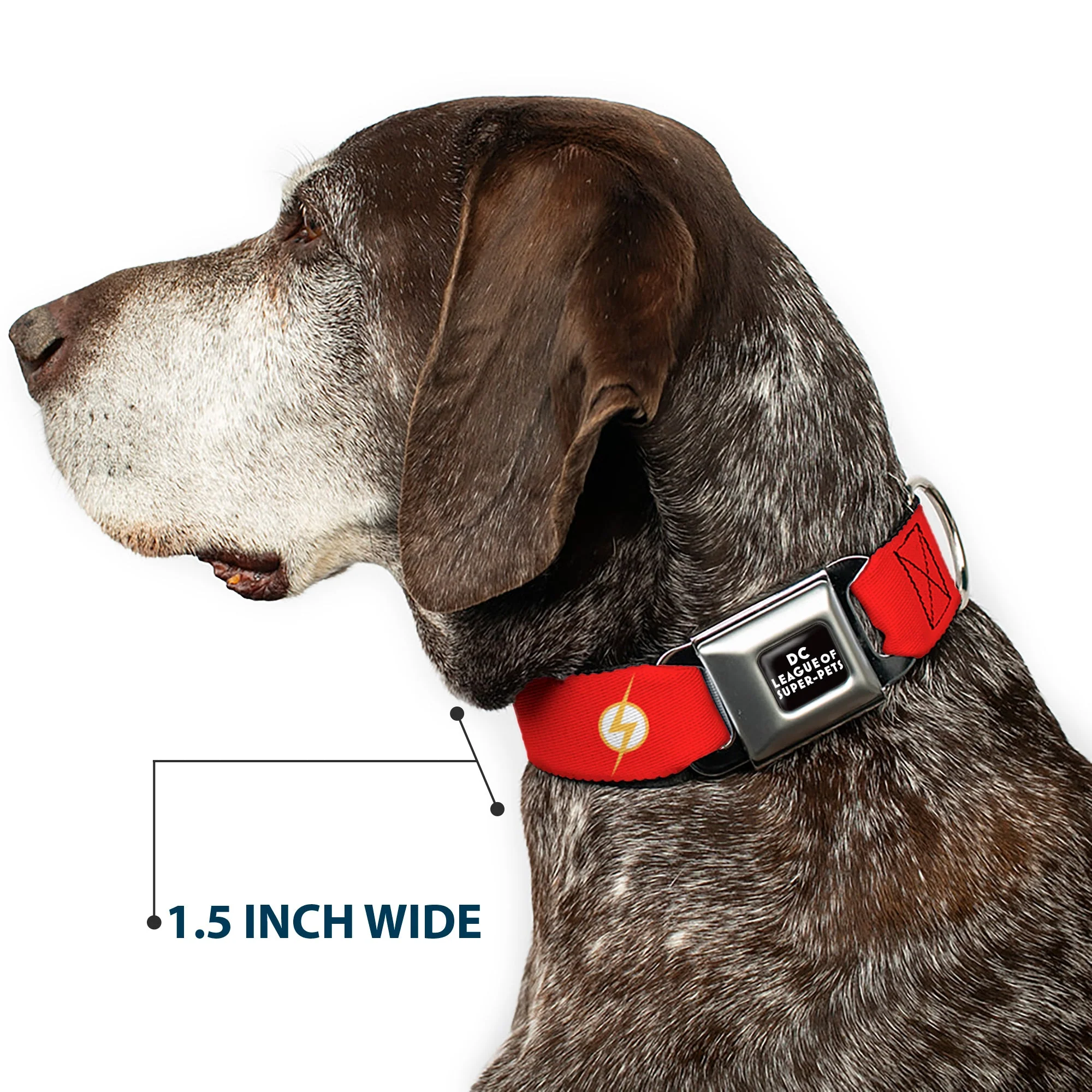 DC LEAGUE OF SUPER-PETS Logo Full Color Black/White Seatbelt Buckle Collar - DC League of Super-Pets Flash Bolt Logo Red/Yellow/White - Image 7