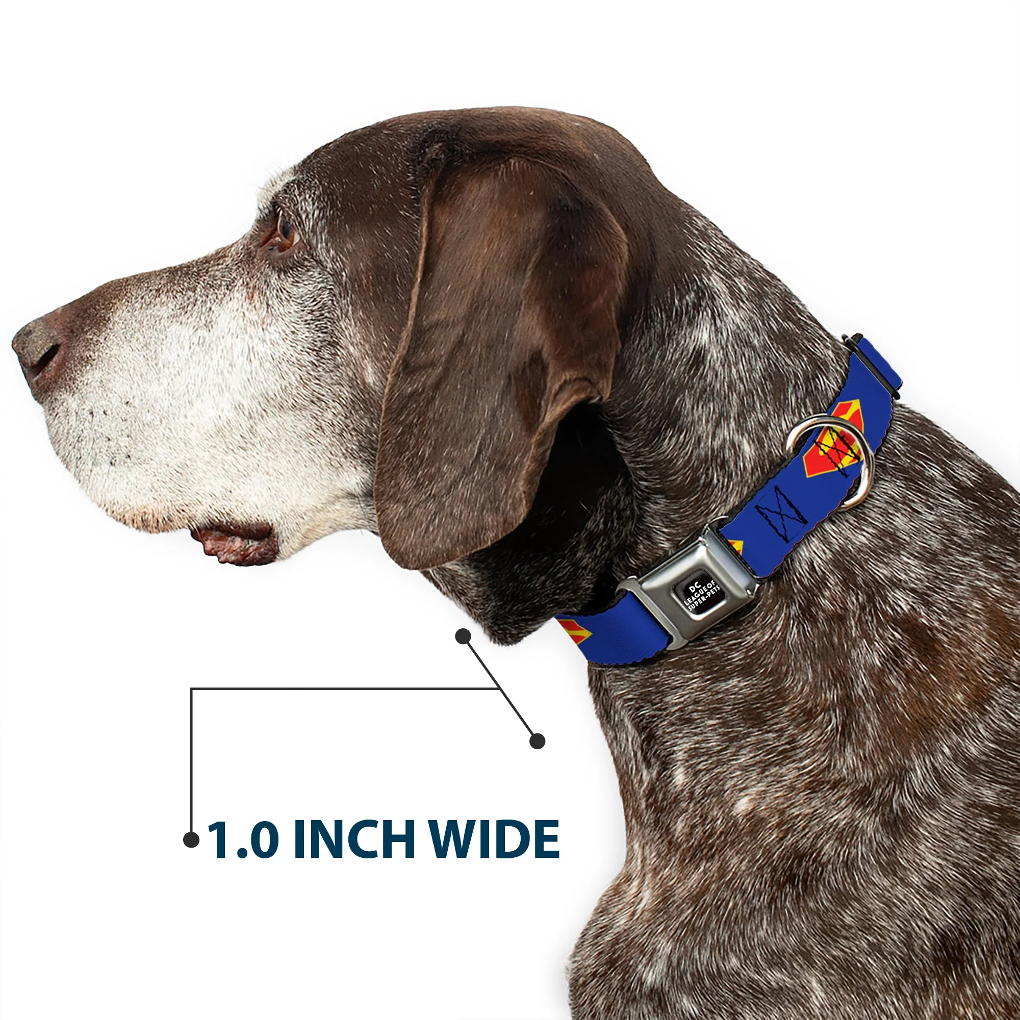 DC LEAGUE OF SUPER-PETS Logo Full Color Black/White Seatbelt Buckle Collar - DC League of Super-Pets Superman Shield Logo Blue/Red/Yellow - Image 6