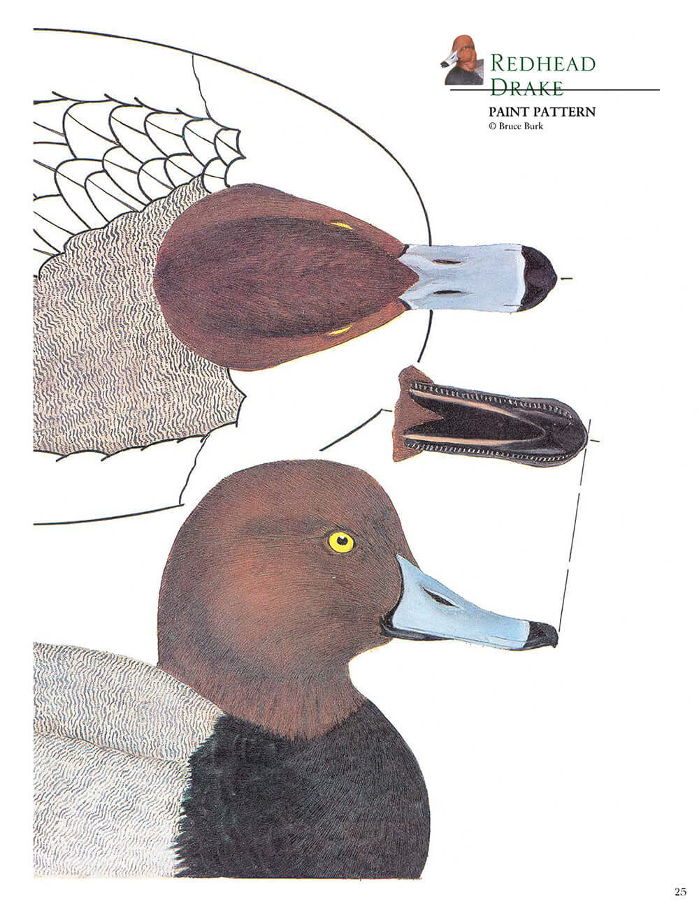 Decorative Decoy Carvers Ultimate Painting & Pattern Portfolio, Series Two - Image 2