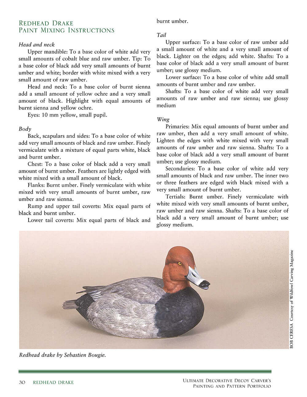Decorative Decoy Carvers Ultimate Painting & Pattern Portfolio, Series Two - Image 4