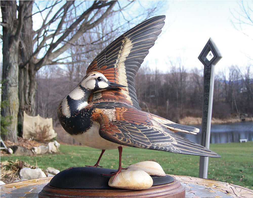 Decoys - Image 4