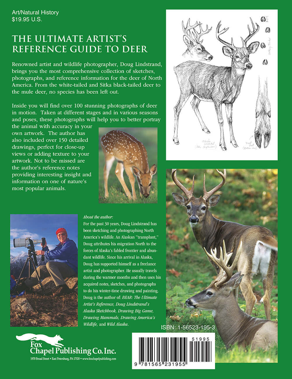 Deer: The Ultimate Artist's Reference - Image 7