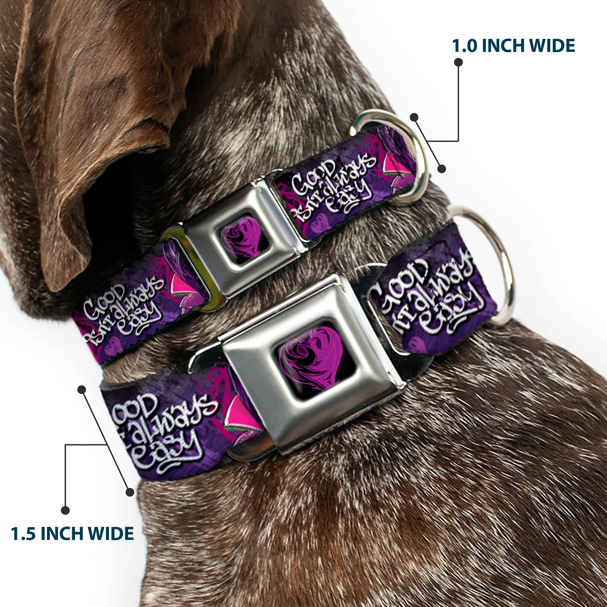 Descendants Dragon Heart Full Color Black/Purples Seatbelt Buckle Collar - Descendants Mal 3-Poses GOOD ISNT ALWAYS/Hearts/Dragons EASY Purples/Pinks - Image 2