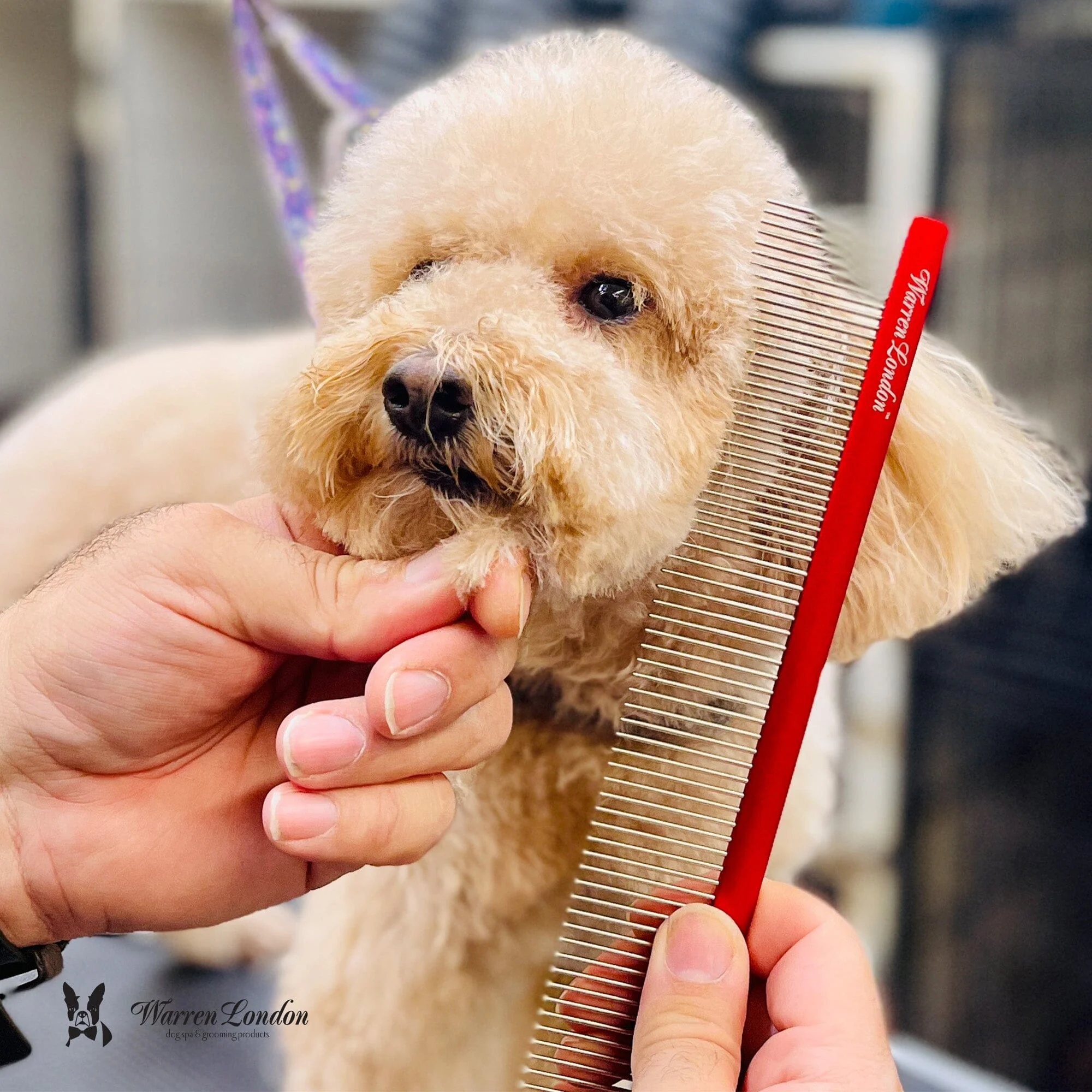 Detangling Strong Comb - Image 8
