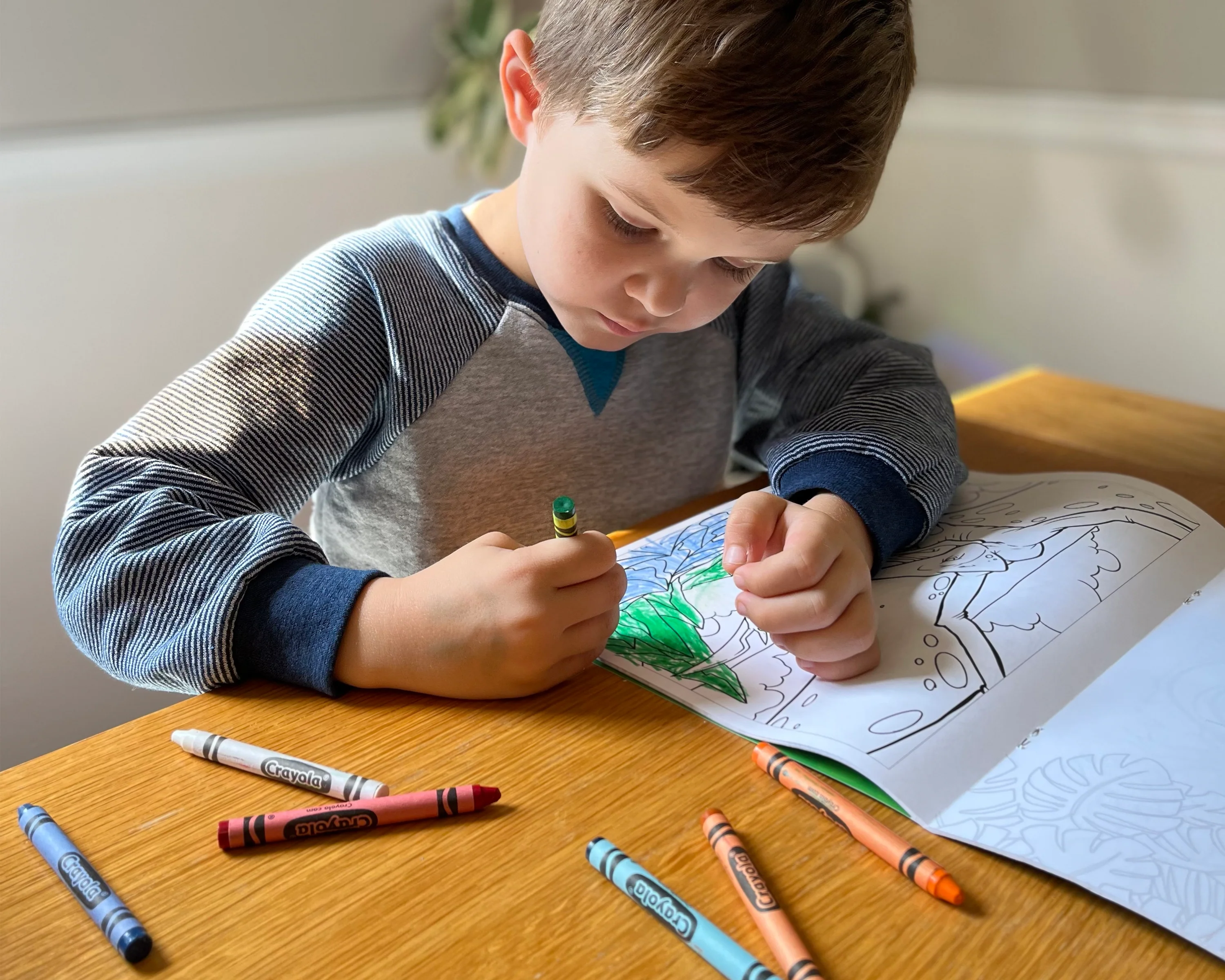 Dinosaurs Coloring Book Customized - Image 2