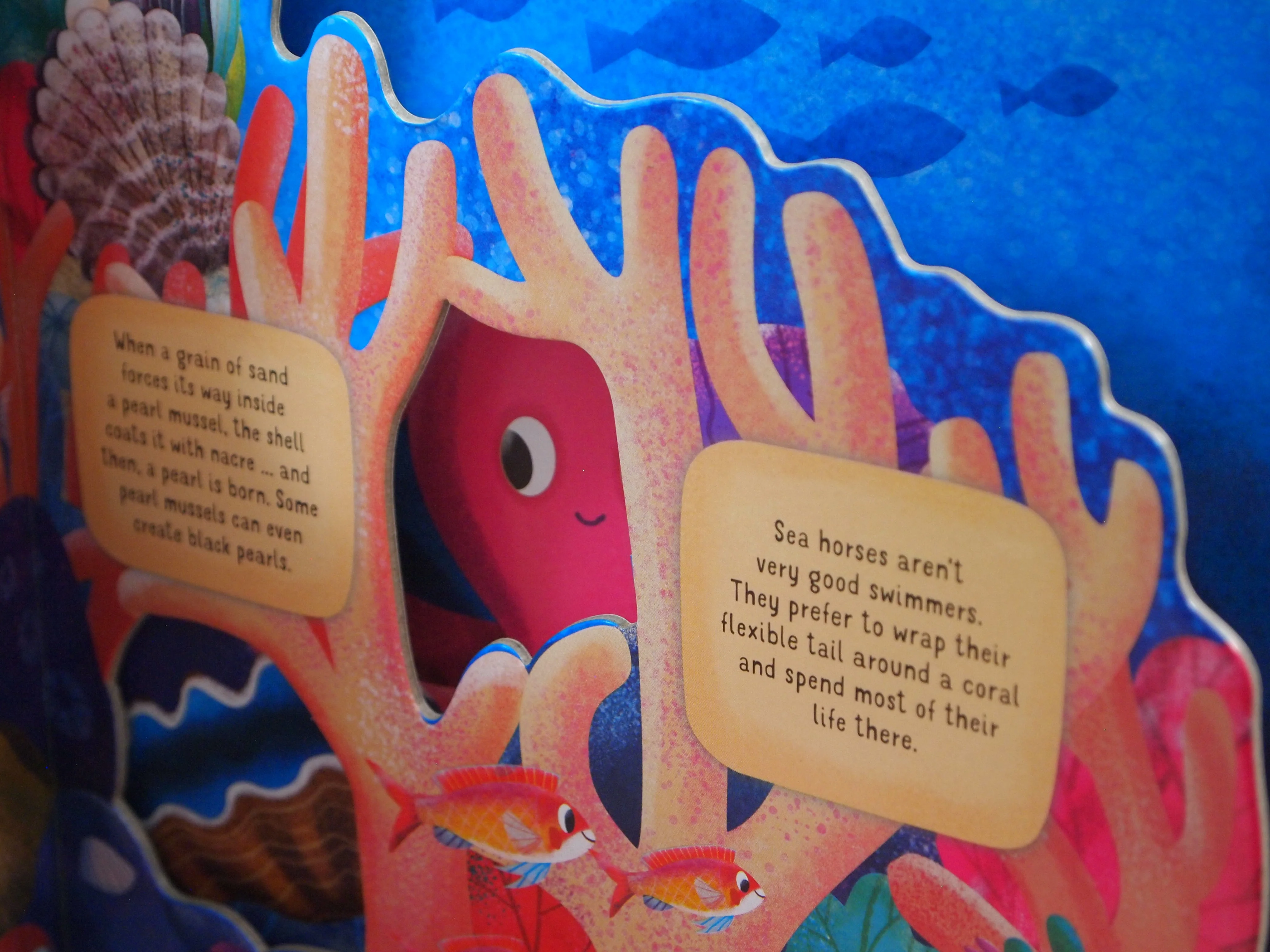 Discovering the Secret World: Coral Reef - Image 4