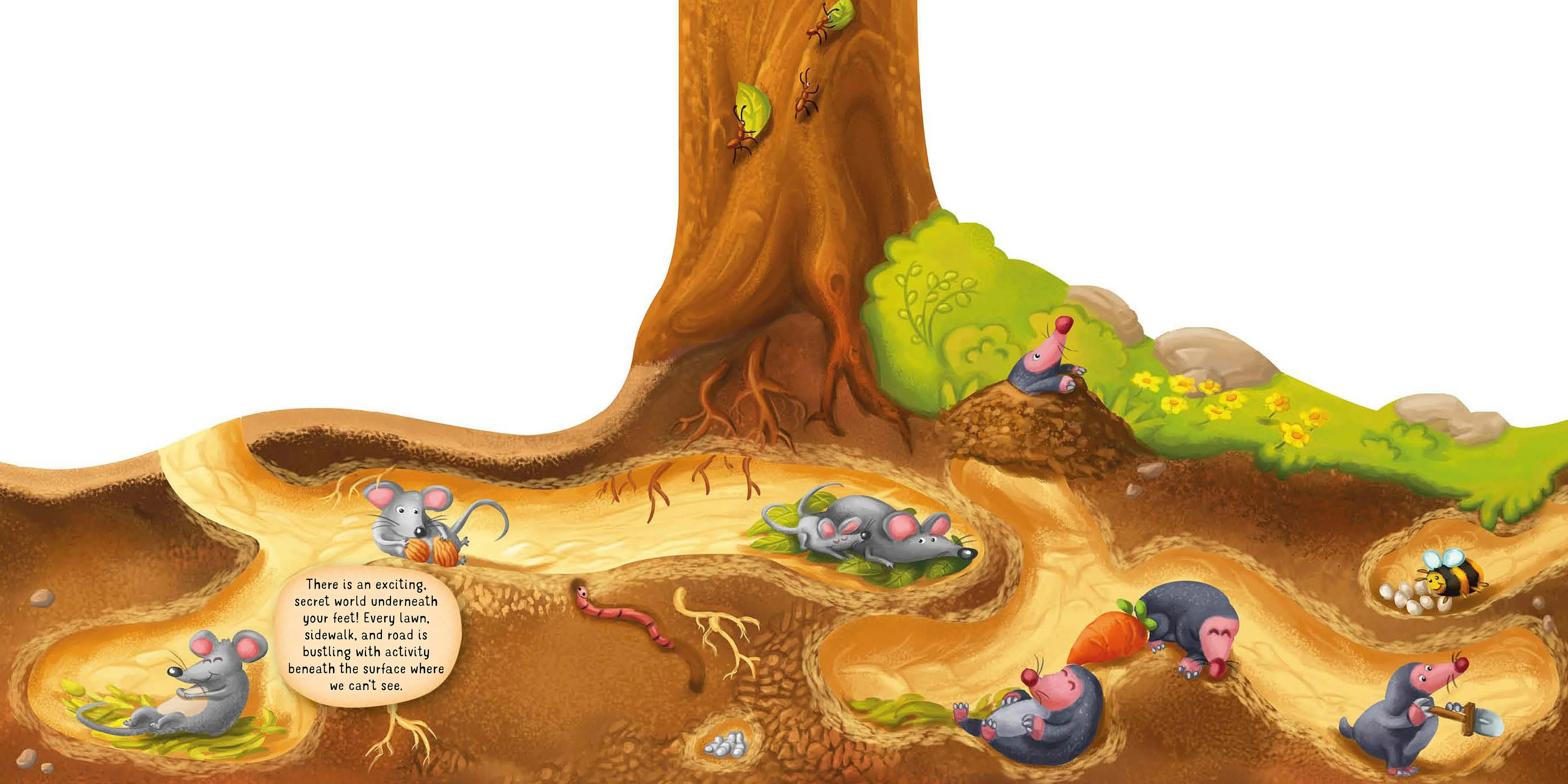 Discovering the Secret World of Nature Underground - Image 2