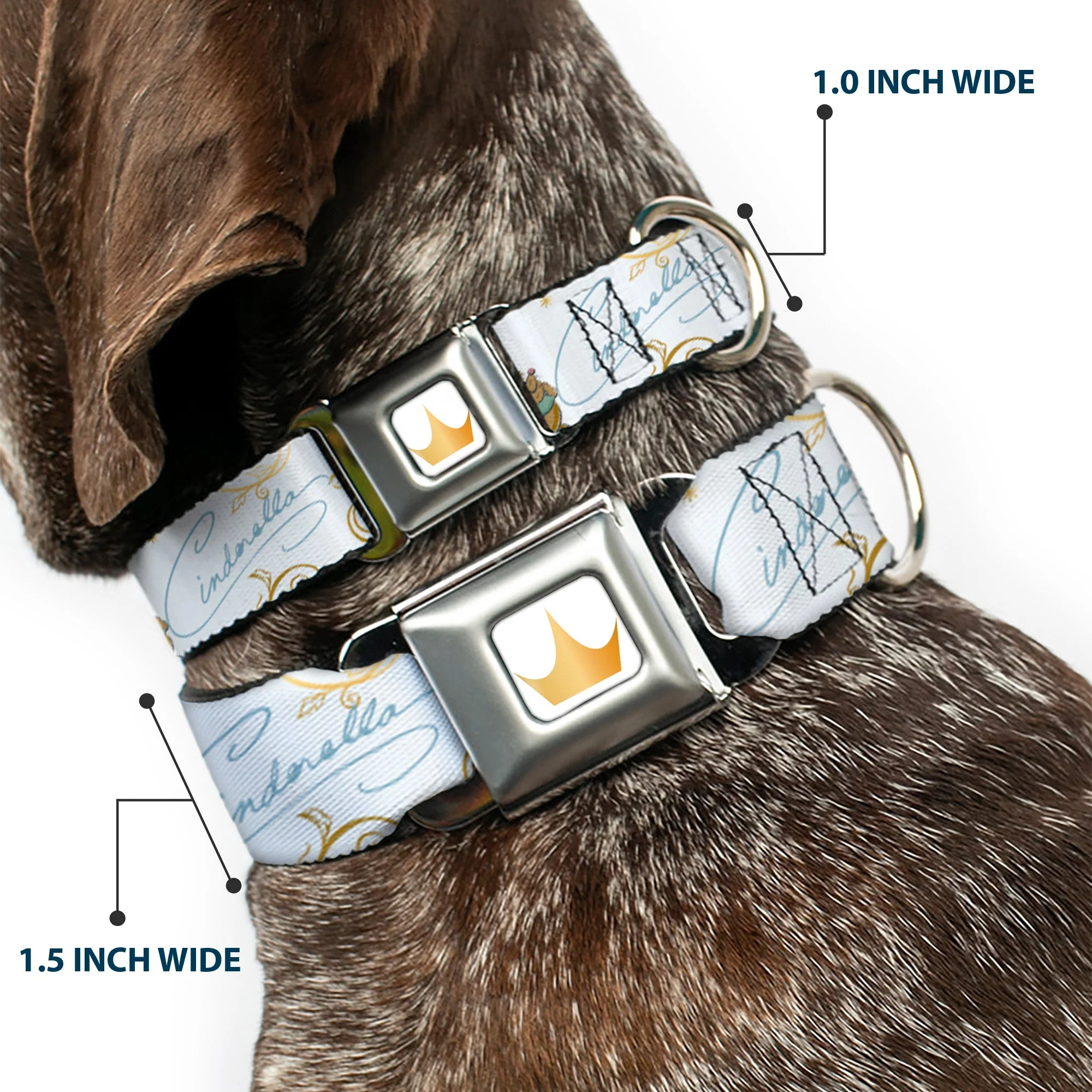 Disney Princess Crown Full Color Golds Seatbelt Buckle Collar - Cinderella Pumpkin Coach and Mice Pose with Script White/Blues - Image 2