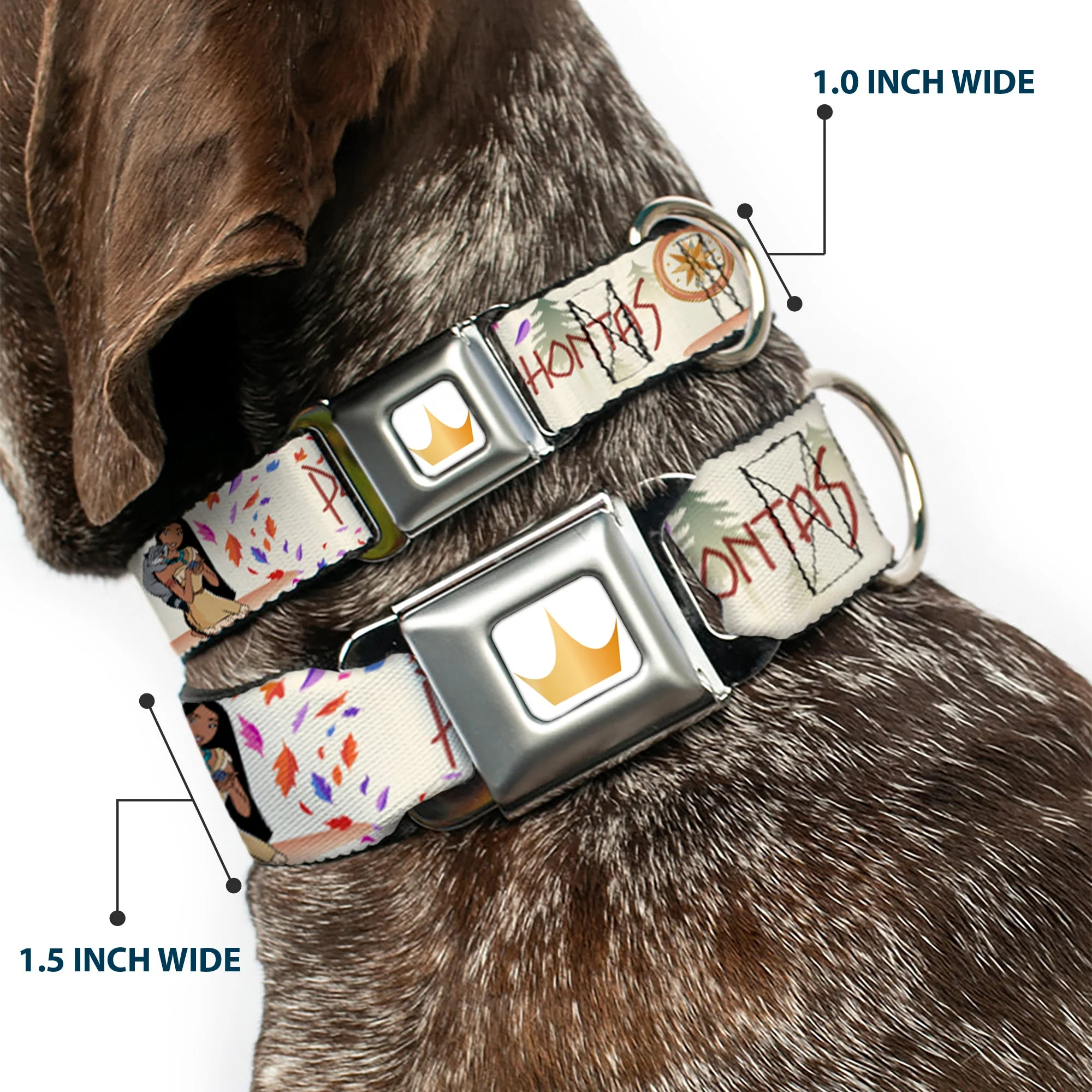 Disney Princess Crown Full Color Golds Seatbelt Buckle Collar - Pocahontas and Meeko Compass Pose with Script and Leaves Beige - Image 2