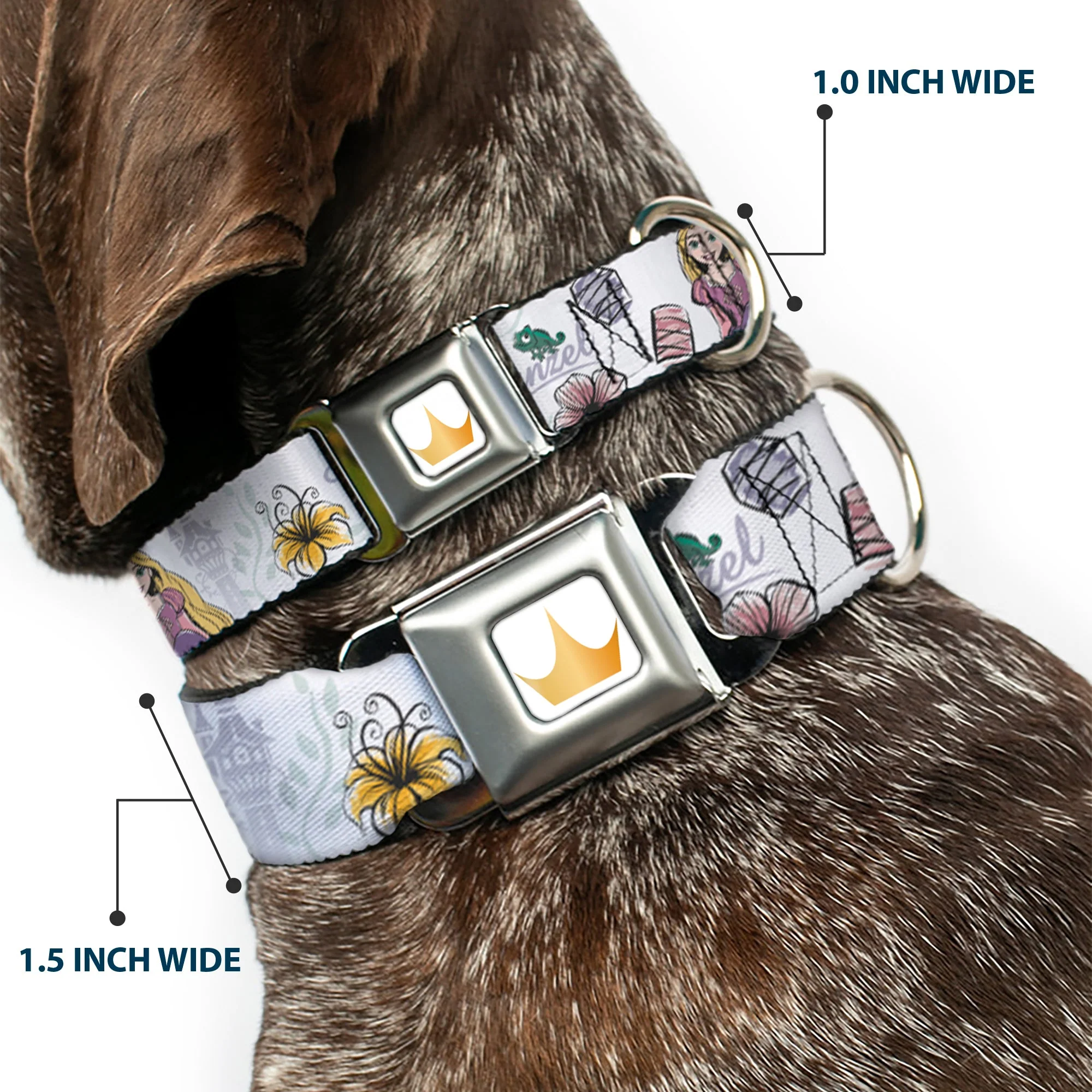 Disney Princess Crown Full Color Golds Seatbelt Buckle Collar - Rapunzel Castle and Pascual Pose with Script and Flowers White/Purples - Image 2