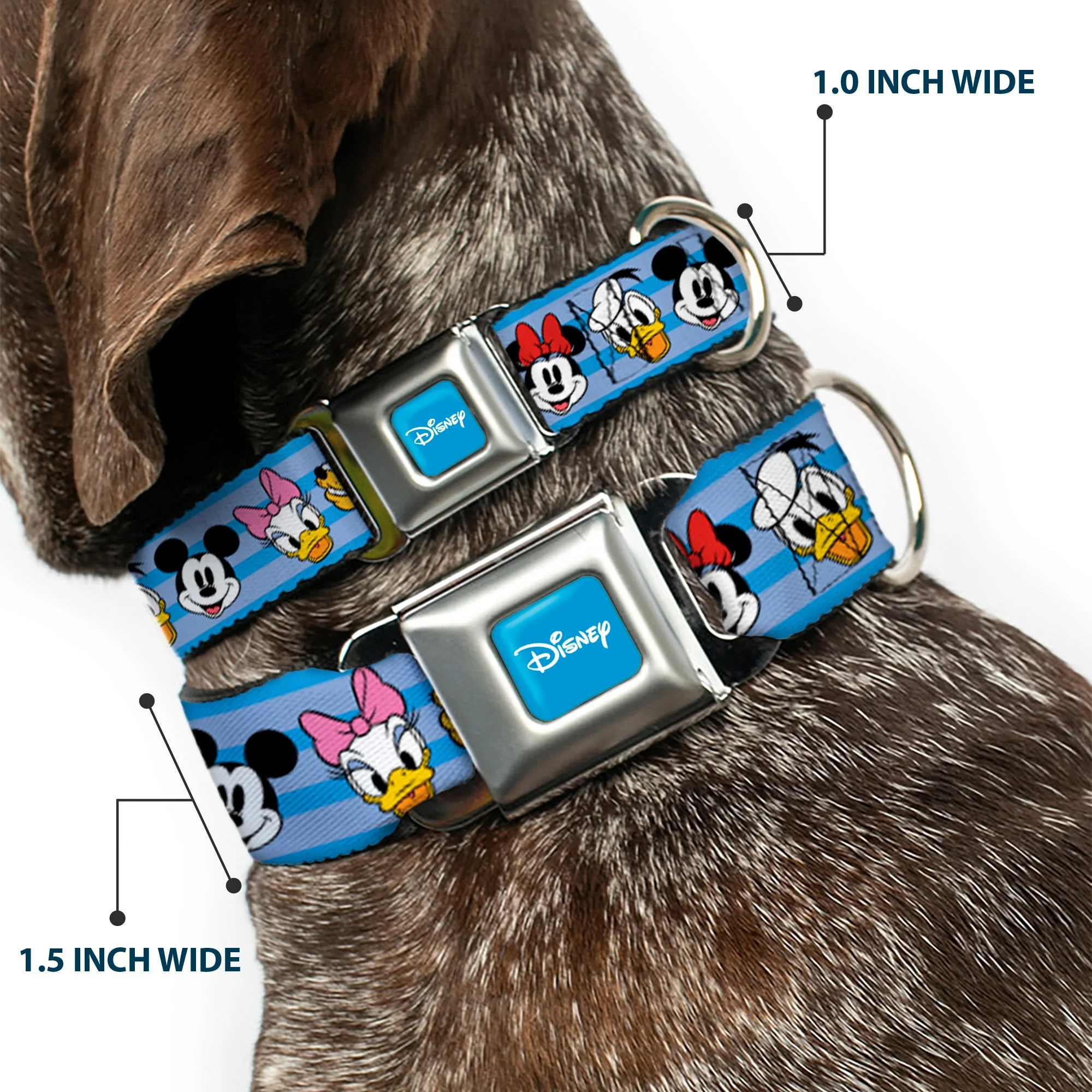 DISNEY Signature Full Color Blue/White Seatbelt Buckle Collar - Disney The Sensational Six Smiling Faces Stripe Blues - Image 2