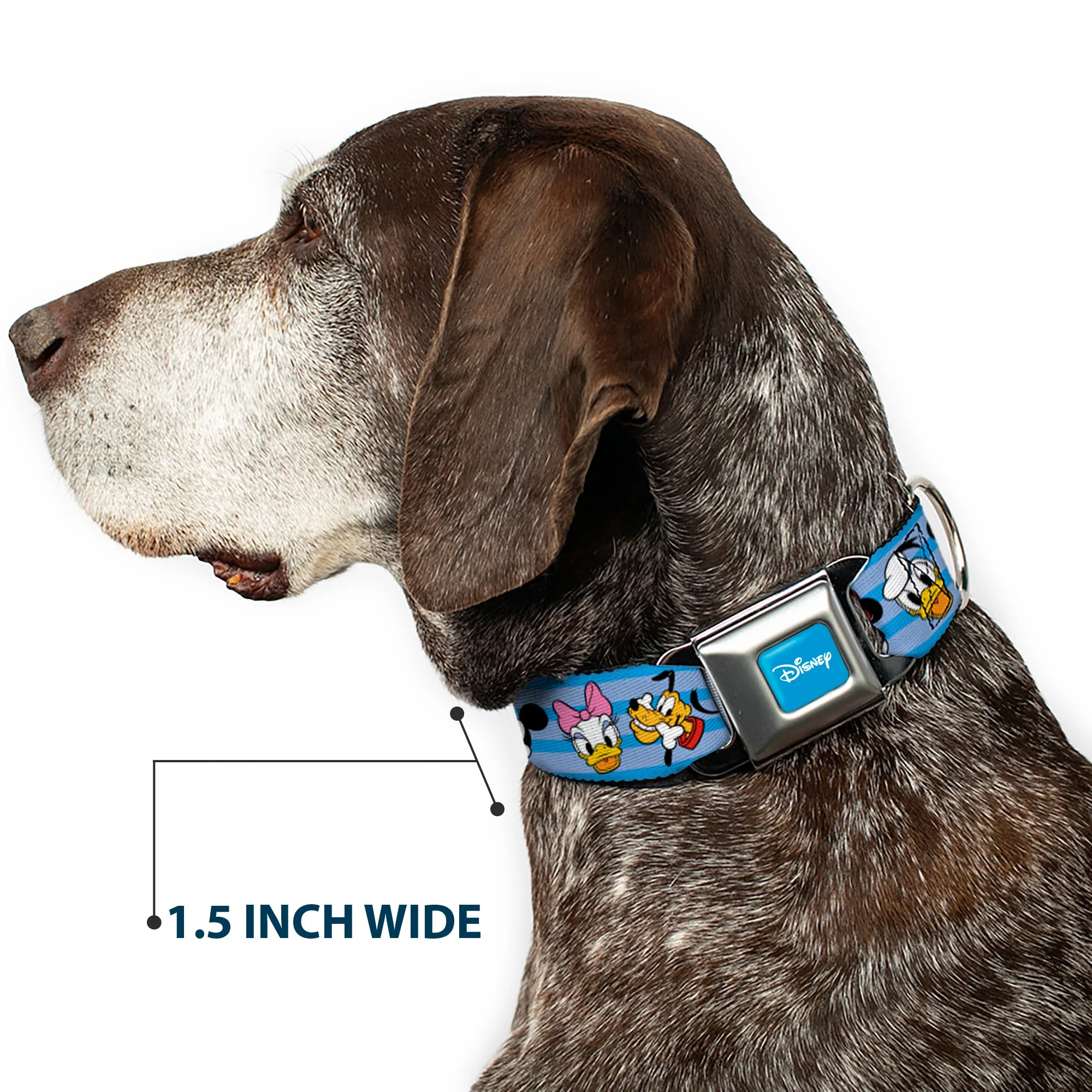 DISNEY Signature Full Color Blue/White Seatbelt Buckle Collar - Disney The Sensational Six Smiling Faces Stripe Blues - Image 7