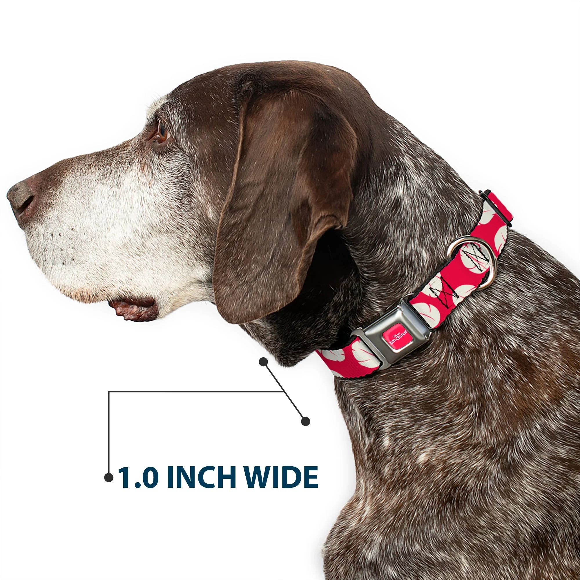Disneys LILO & STITCH Title Logo Full Color Red/White Seatbelt Buckle Collar - Lilo & Stitch Bounding Lilo Dress Leaves Red/Ivory - Image 6