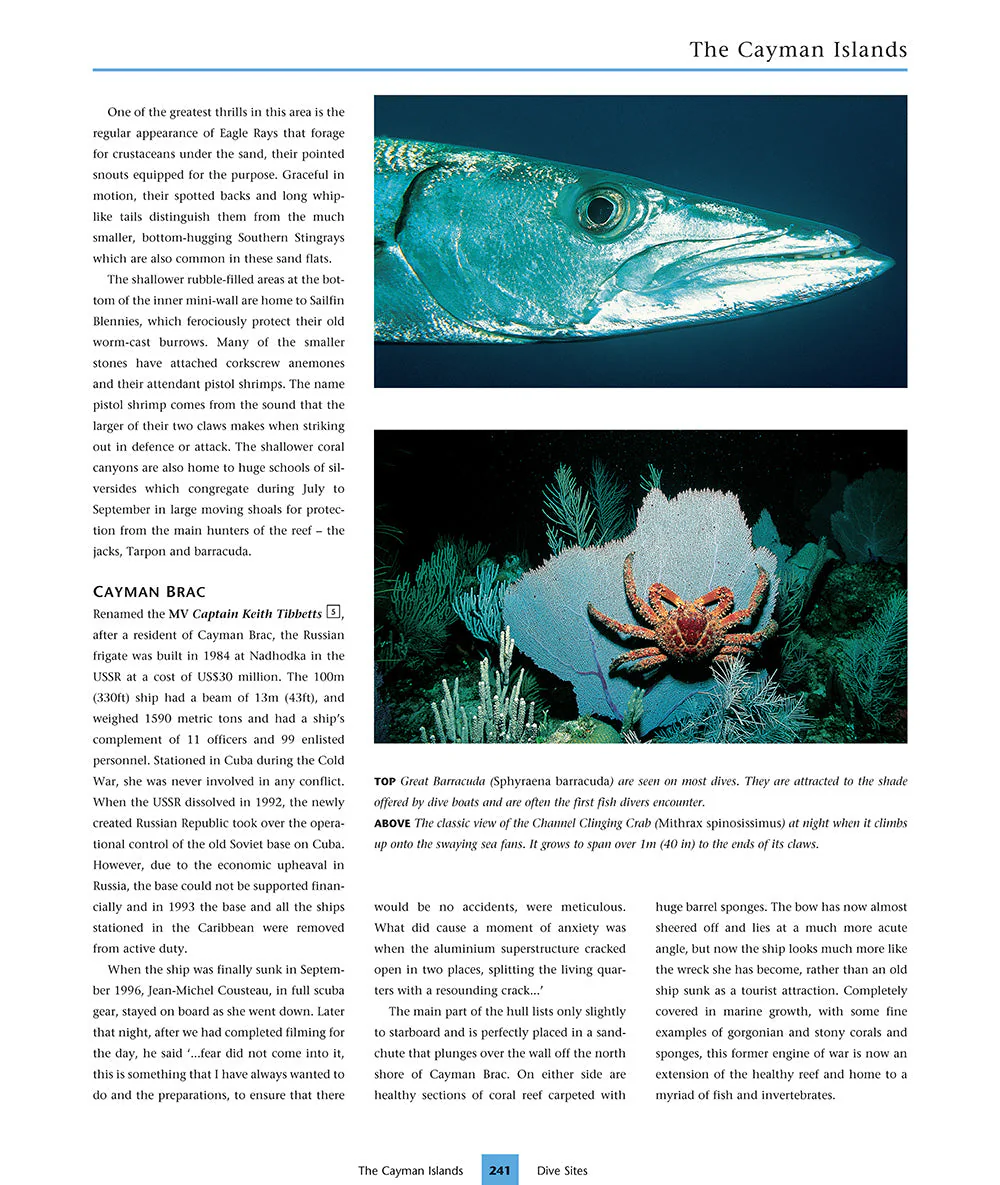 Dive Atlas of the World - Image 6