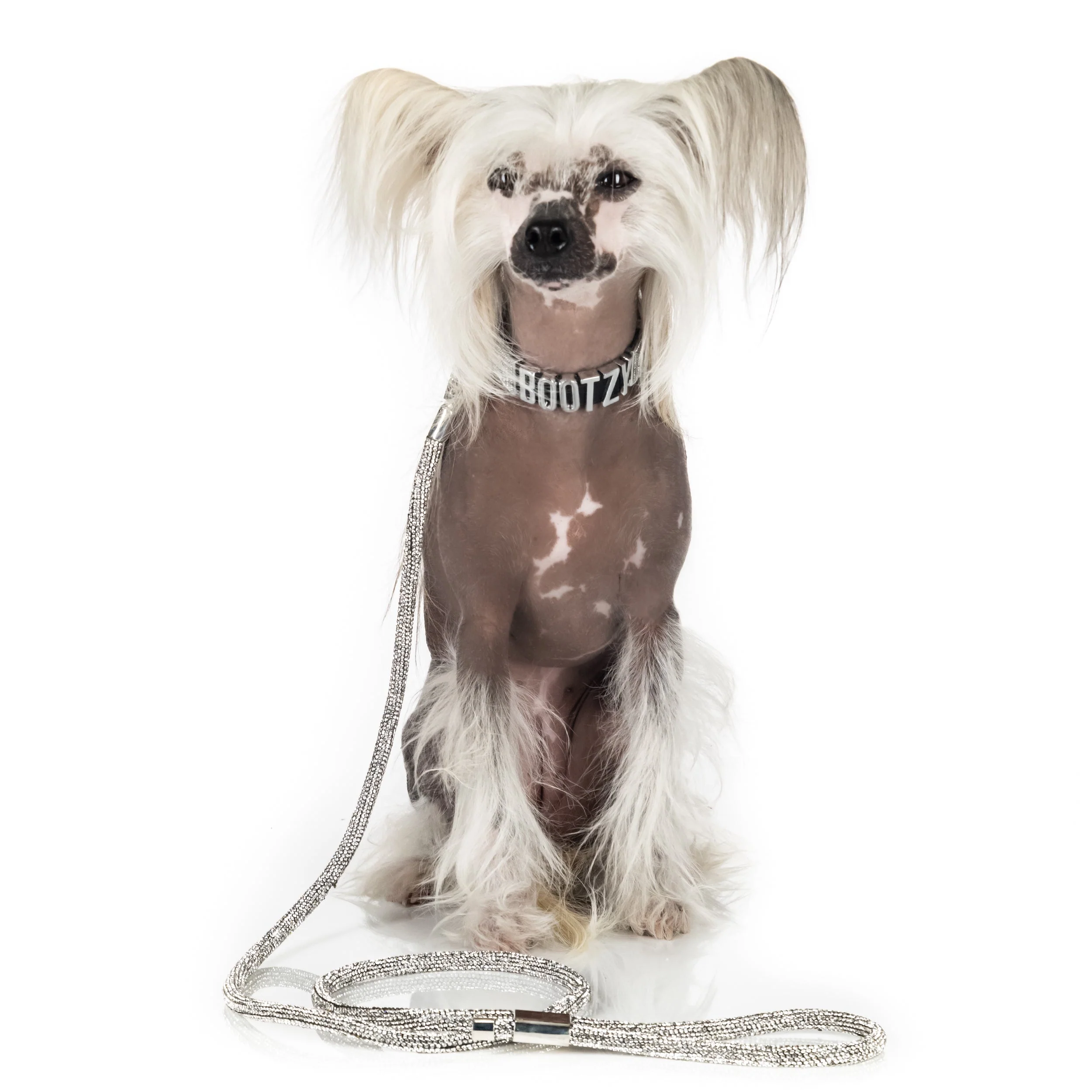 DO THE STRUT LEASH - Image 7