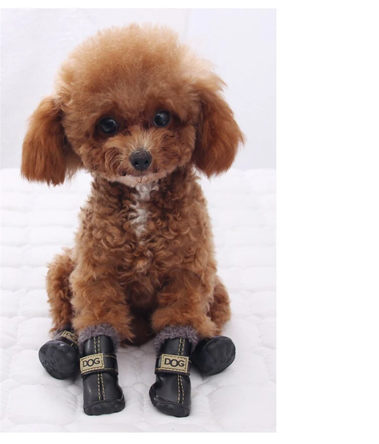 Dog Australia Waterproof Fleece-Lined Warm Dog Snow Boots - Image 23