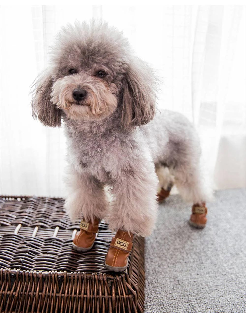 Dog Australia Waterproof Fleece-Lined Warm Dog Snow Boots - Image 24