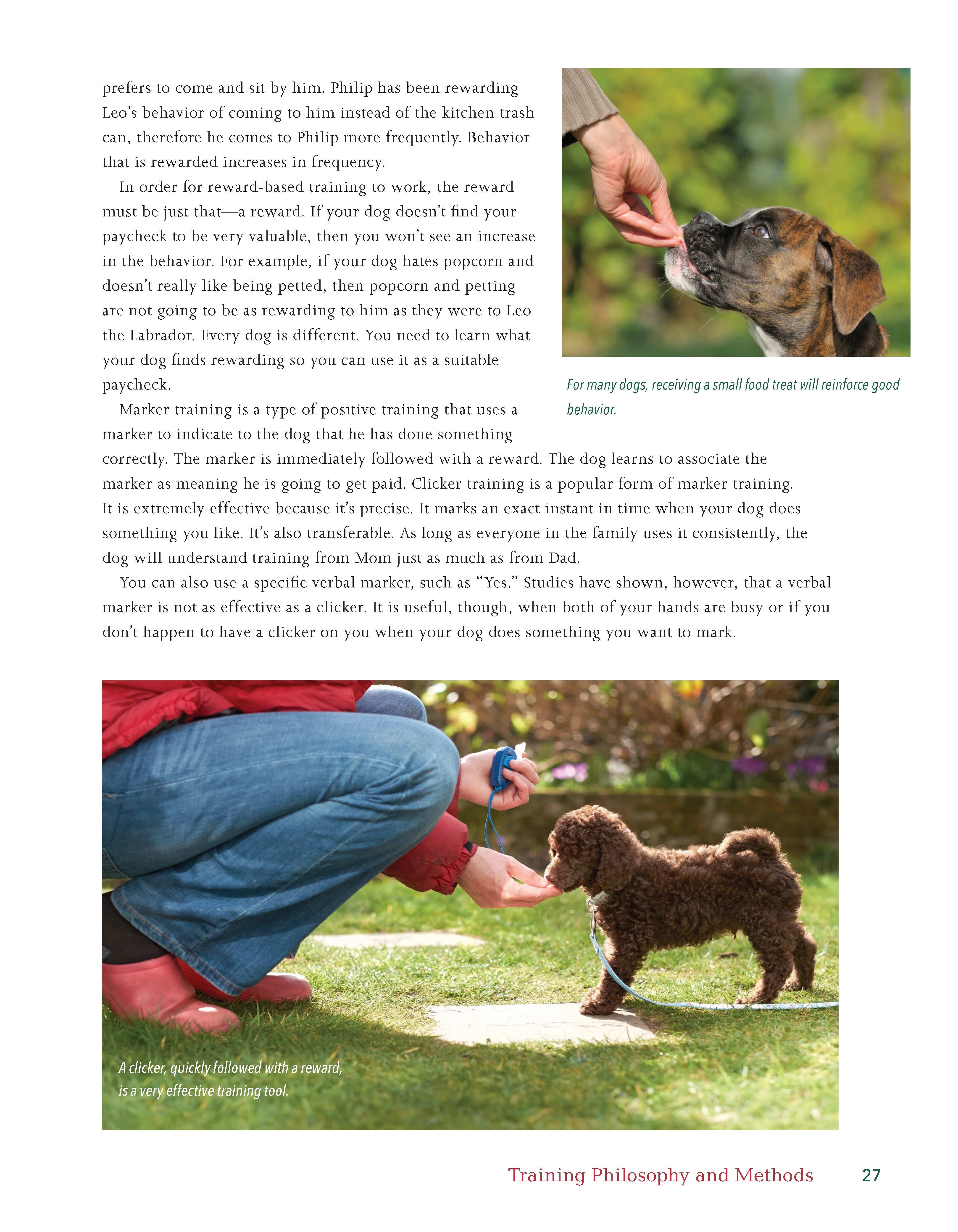 Dog Behavior Problem Solver - Image 2