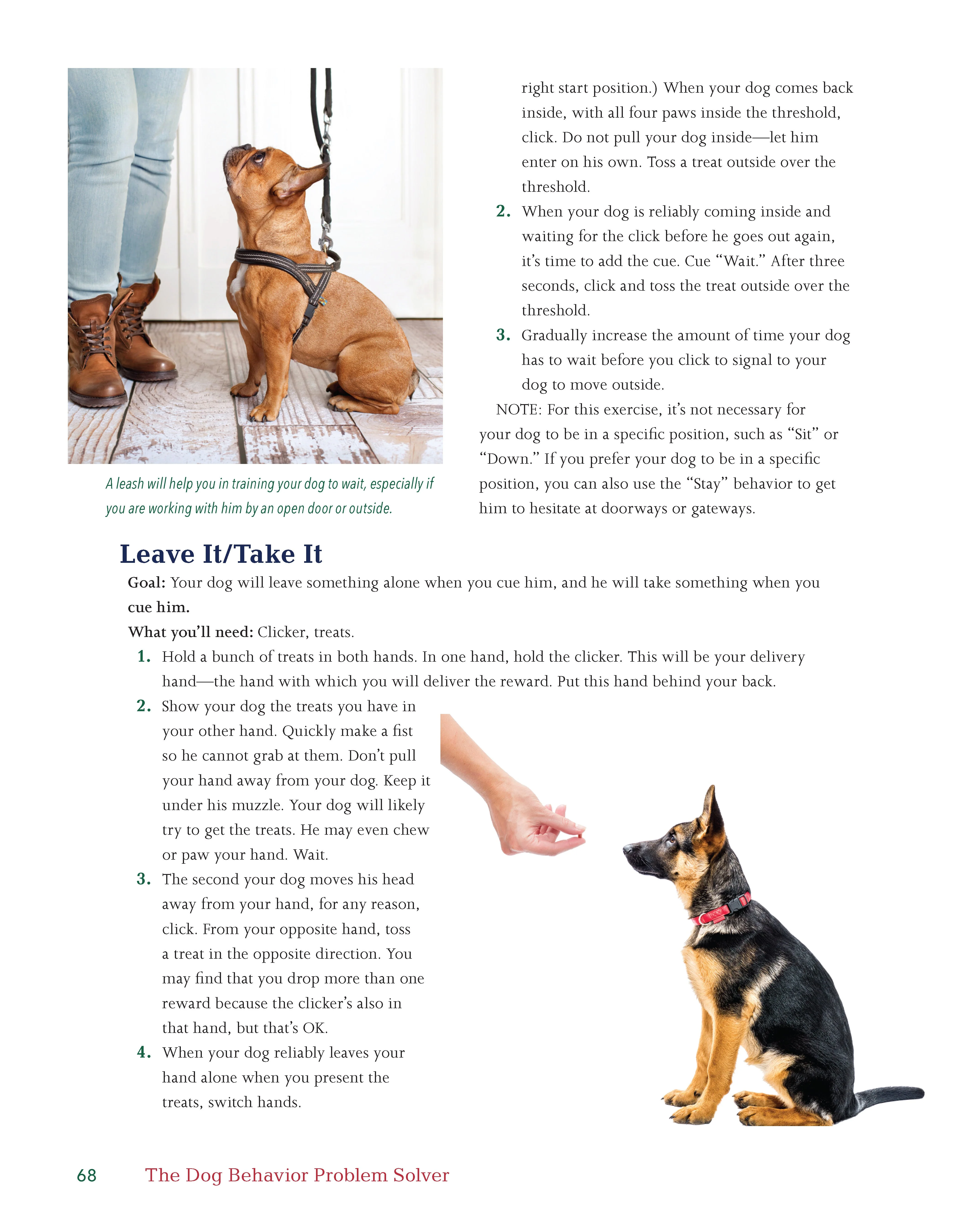 Dog Behavior Problem Solver - Image 3