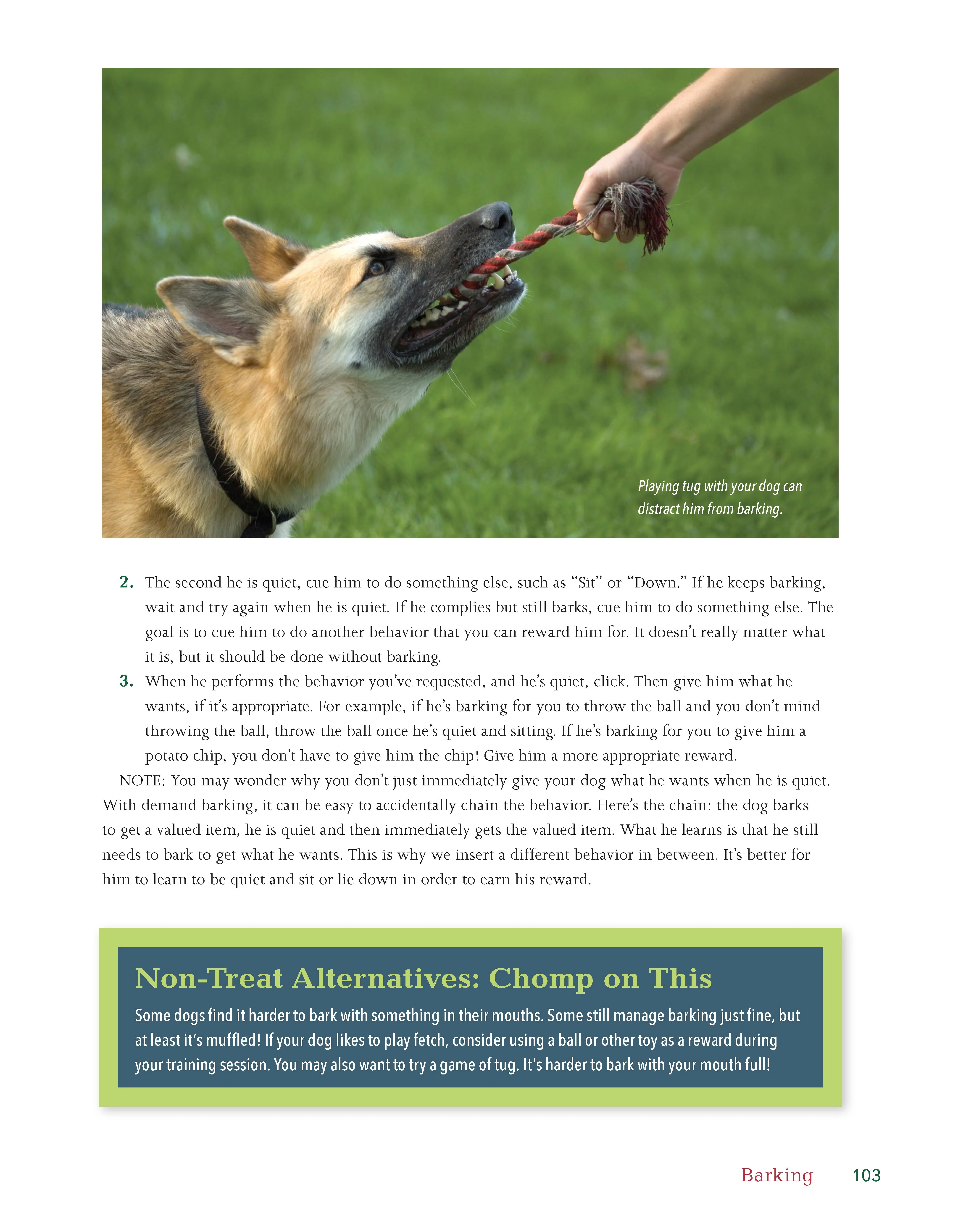 Dog Behavior Problem Solver - Image 4