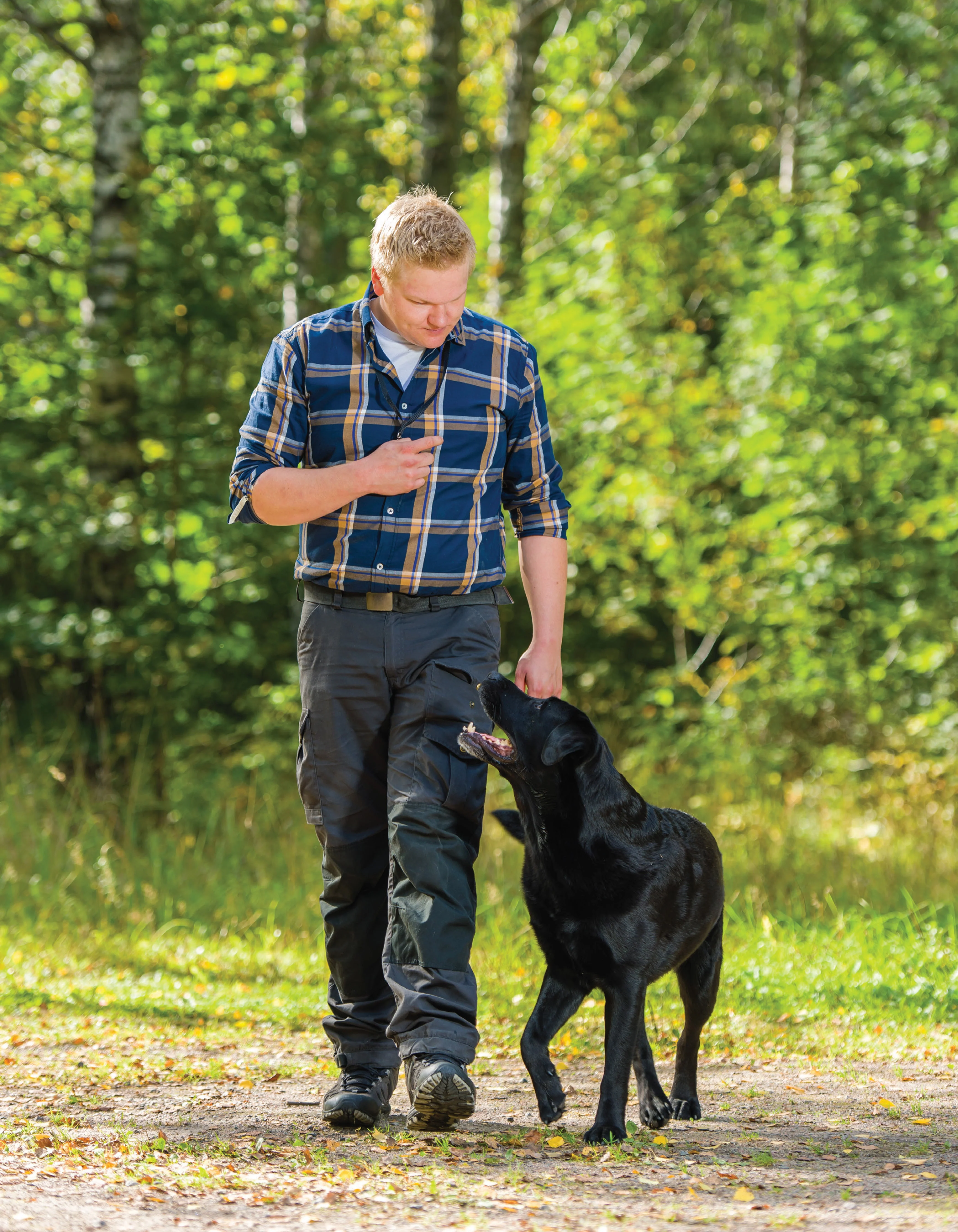 Dog Behavior Problem Solver - Image 6