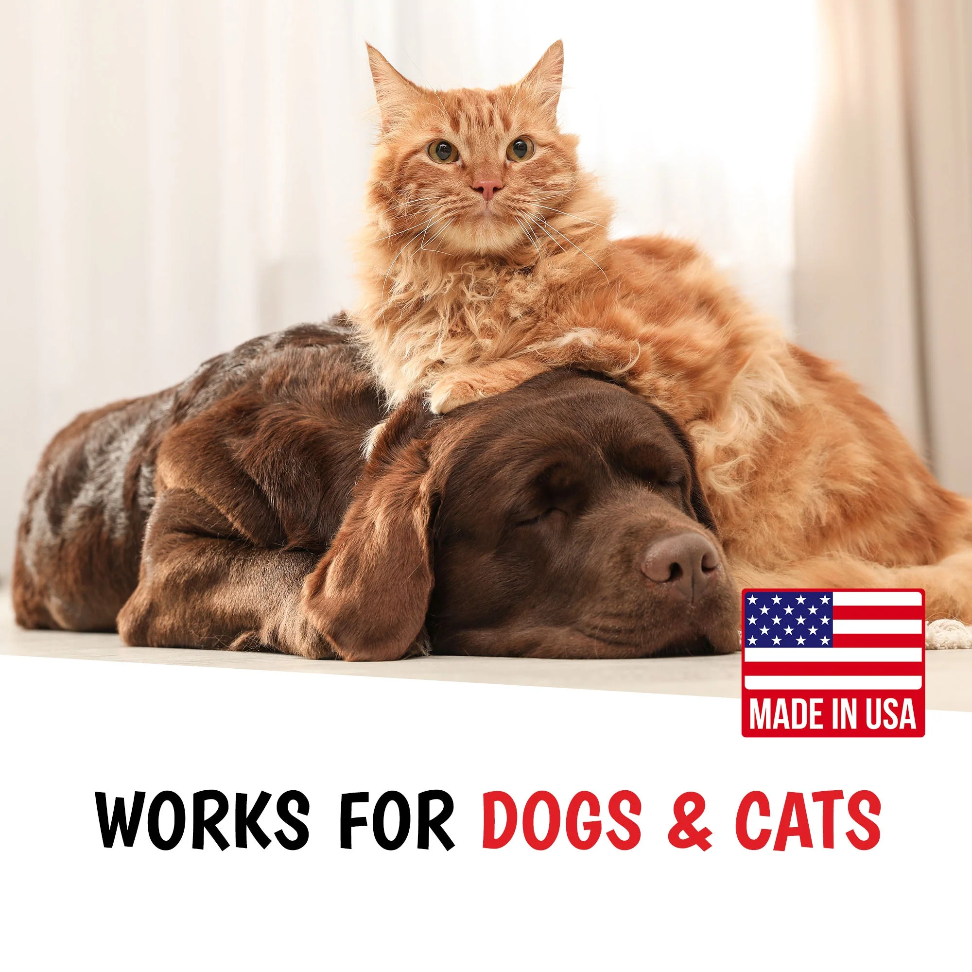Dog Bitter Spray Anti-Chew - Anti-Lick - Image 6