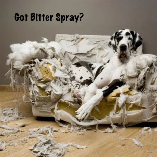 Dog Bitter Spray Anti-Chew - Anti-Lick - Image 9