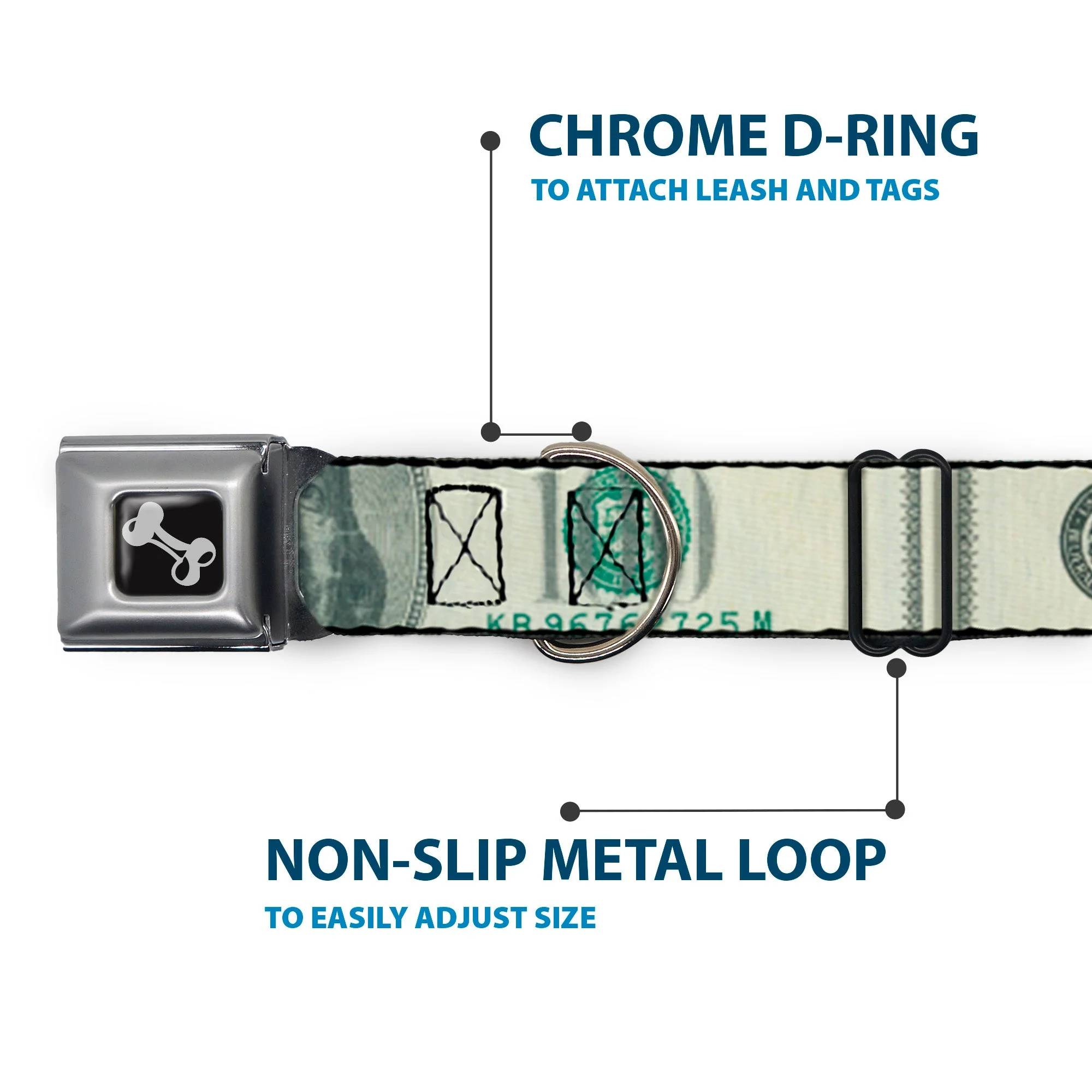 Dog Bone Seatbelt Buckle Collar - 100 Dollar Bill CLOSE-UP - Image 5