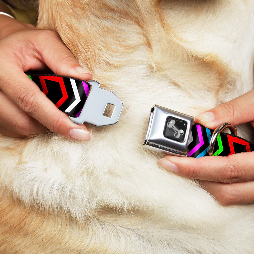 Dog Bone Seatbelt Buckle Collar - Arrows Black/Multi Color - Image 8
