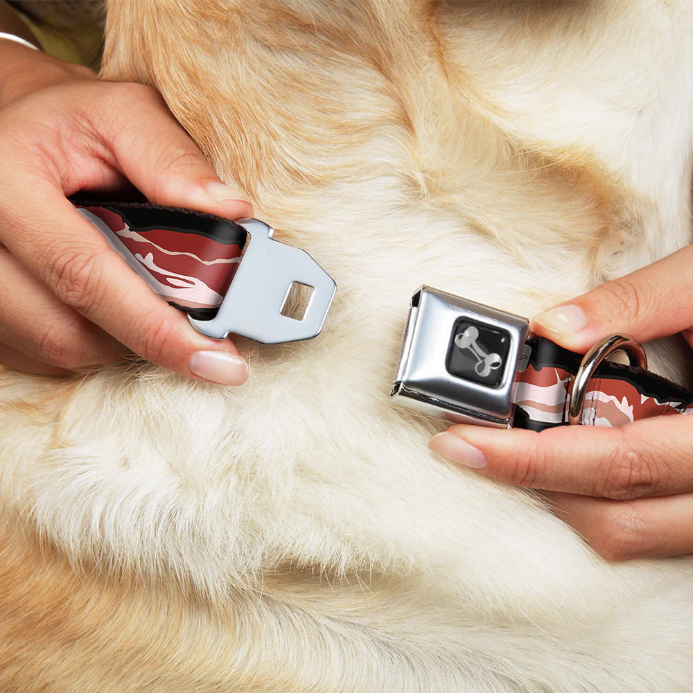 Dog Bone Seatbelt Buckle Collar - Bacon - Image 8