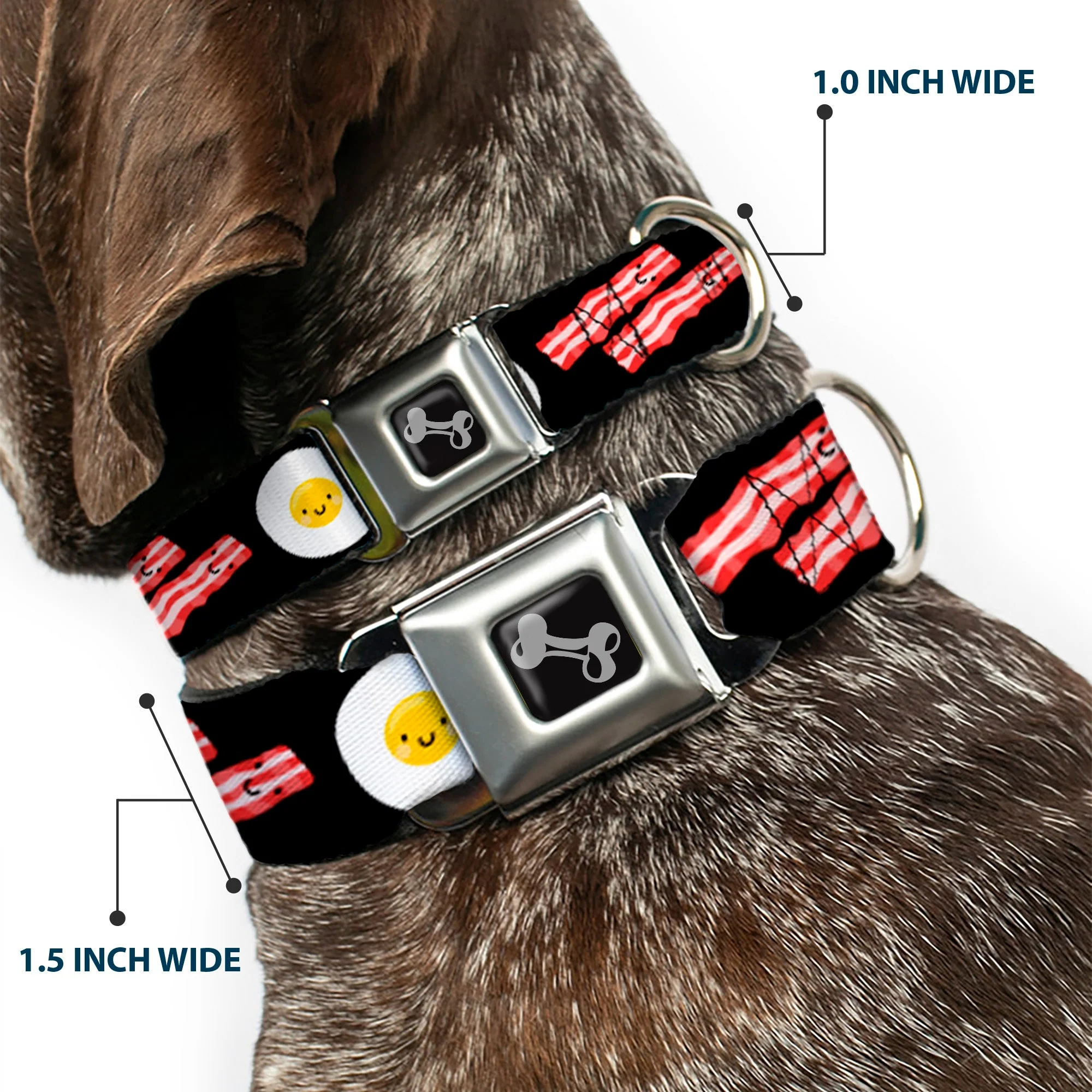 Dog Bone Seatbelt Buckle Collar - Bacon & Eggs Black - Image 2