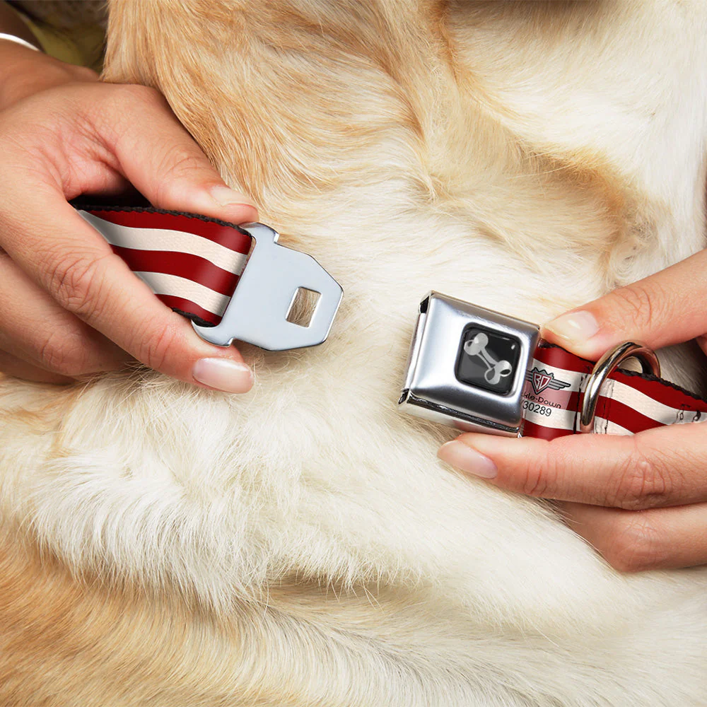 Dog Bone Seatbelt Buckle Collar - Bacon Stripe - Image 8