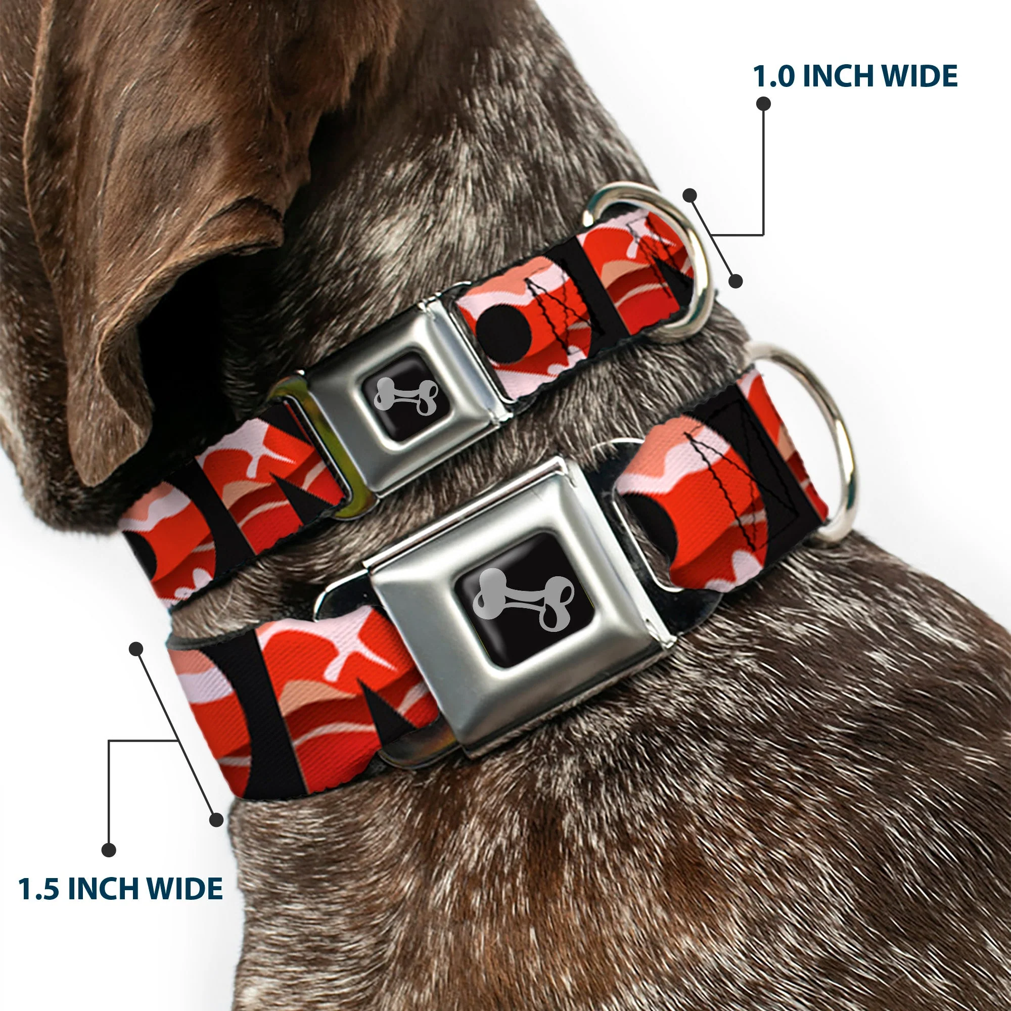 Dog Bone Seatbelt Buckle Collar - Bacon w/Text1 - Image 2