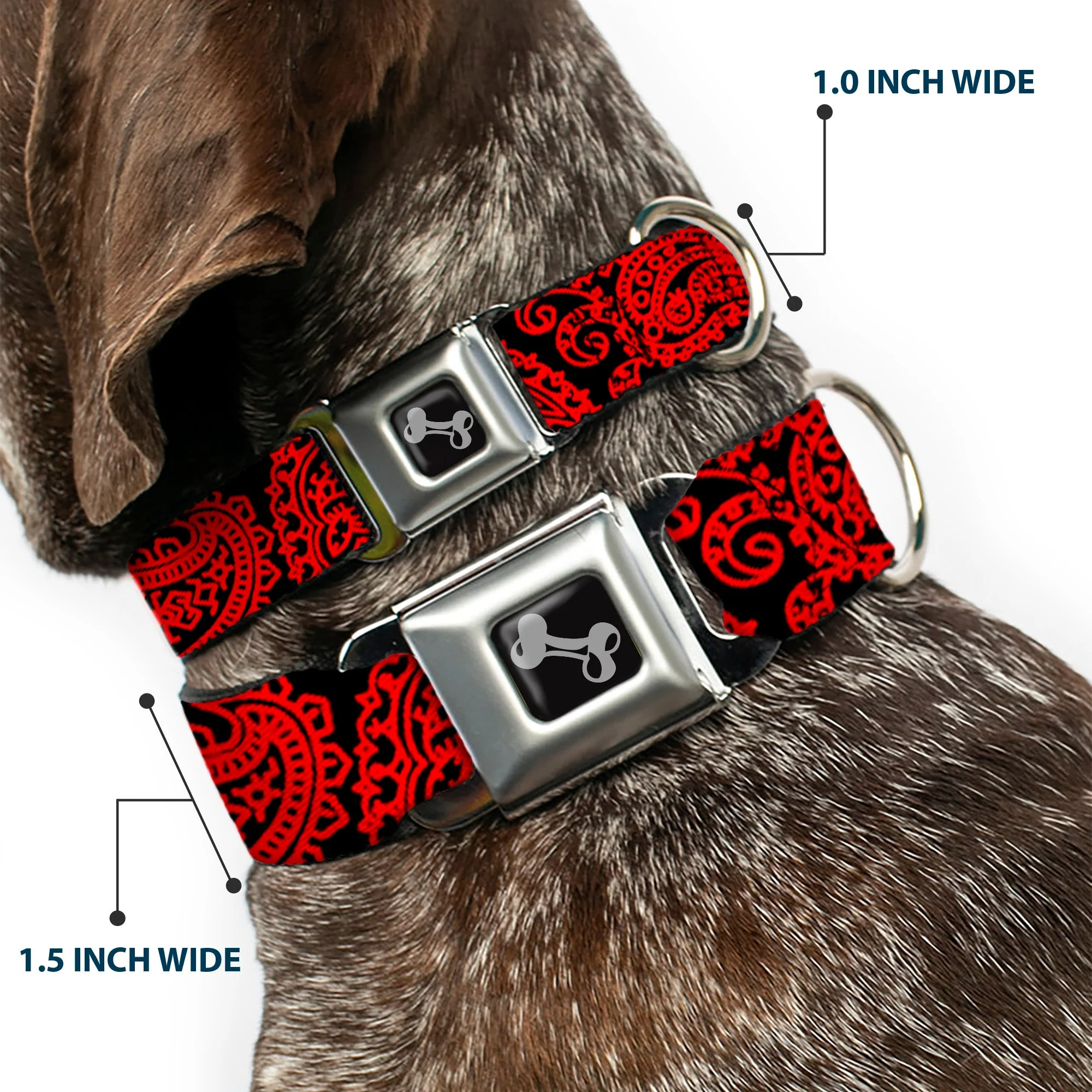 Dog Bone Seatbelt Buckle Collar - Bandana/Skulls Black/Red - Image 2