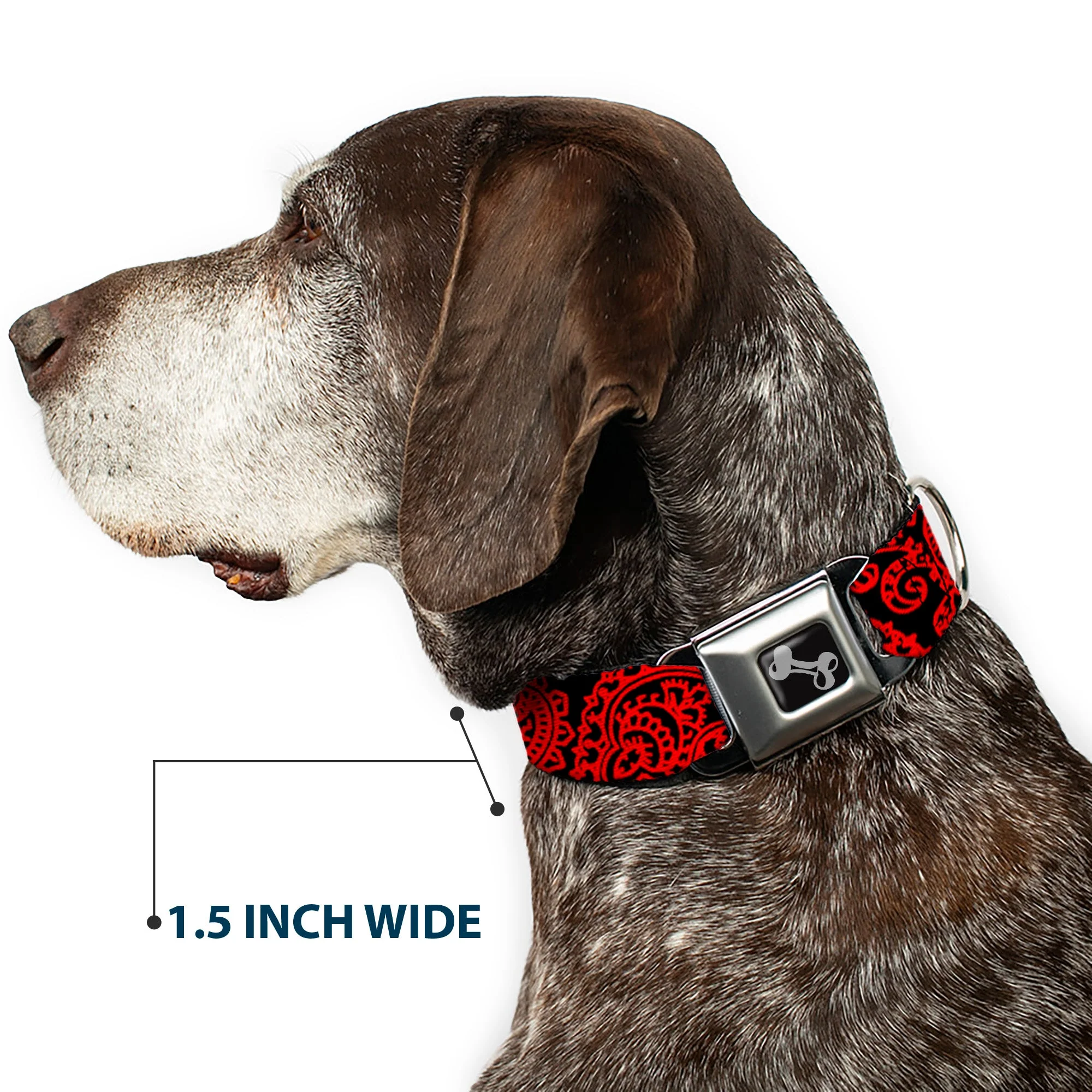 Dog Bone Seatbelt Buckle Collar - Bandana/Skulls Black/Red - Image 7