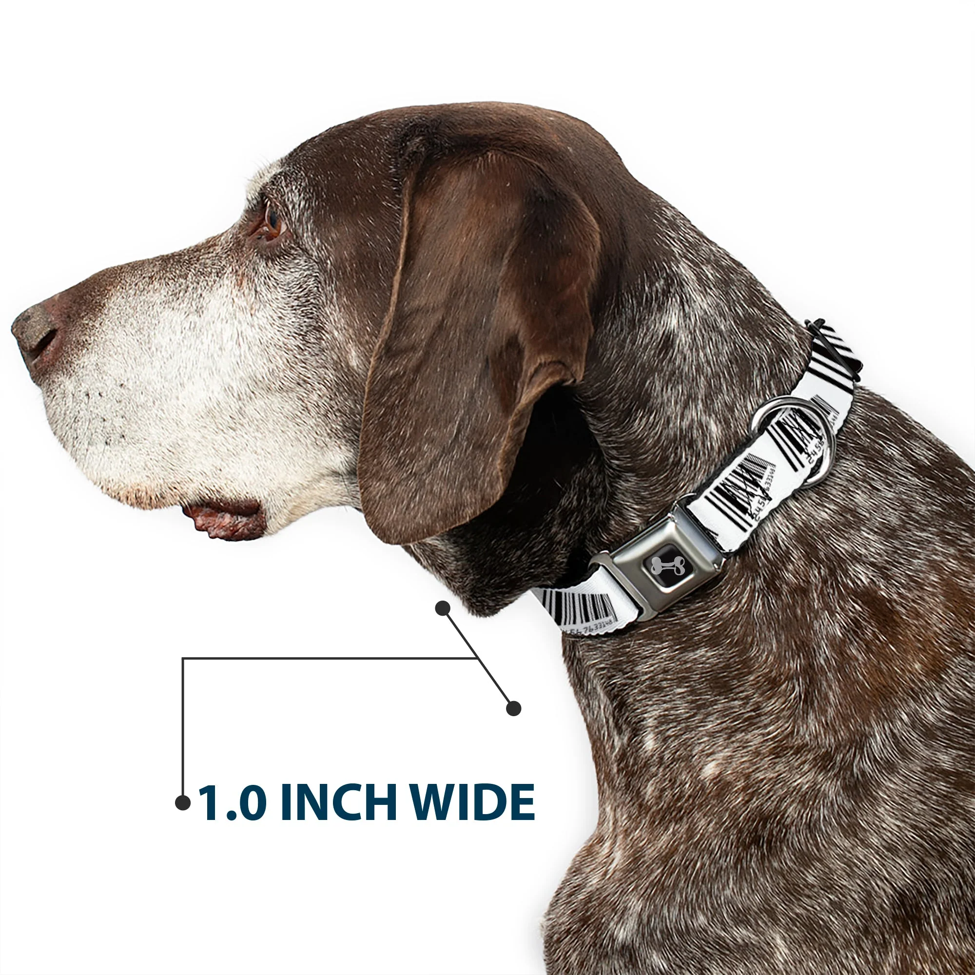 Dog Bone Seatbelt Buckle Collar - Barcode - Image 6